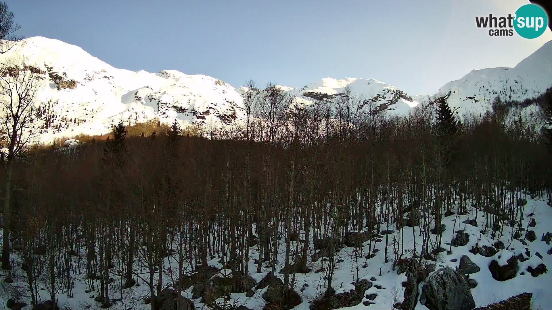 Webcam PLANINA RAZOR (1315) | Blick auf Vogel und Globoko
