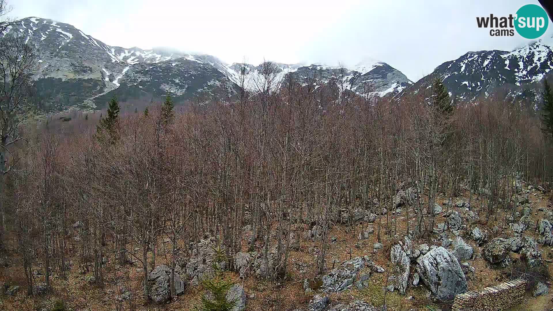 Webcam PLANINA RAZOR (1315) | Blick auf Vogel und Globoko