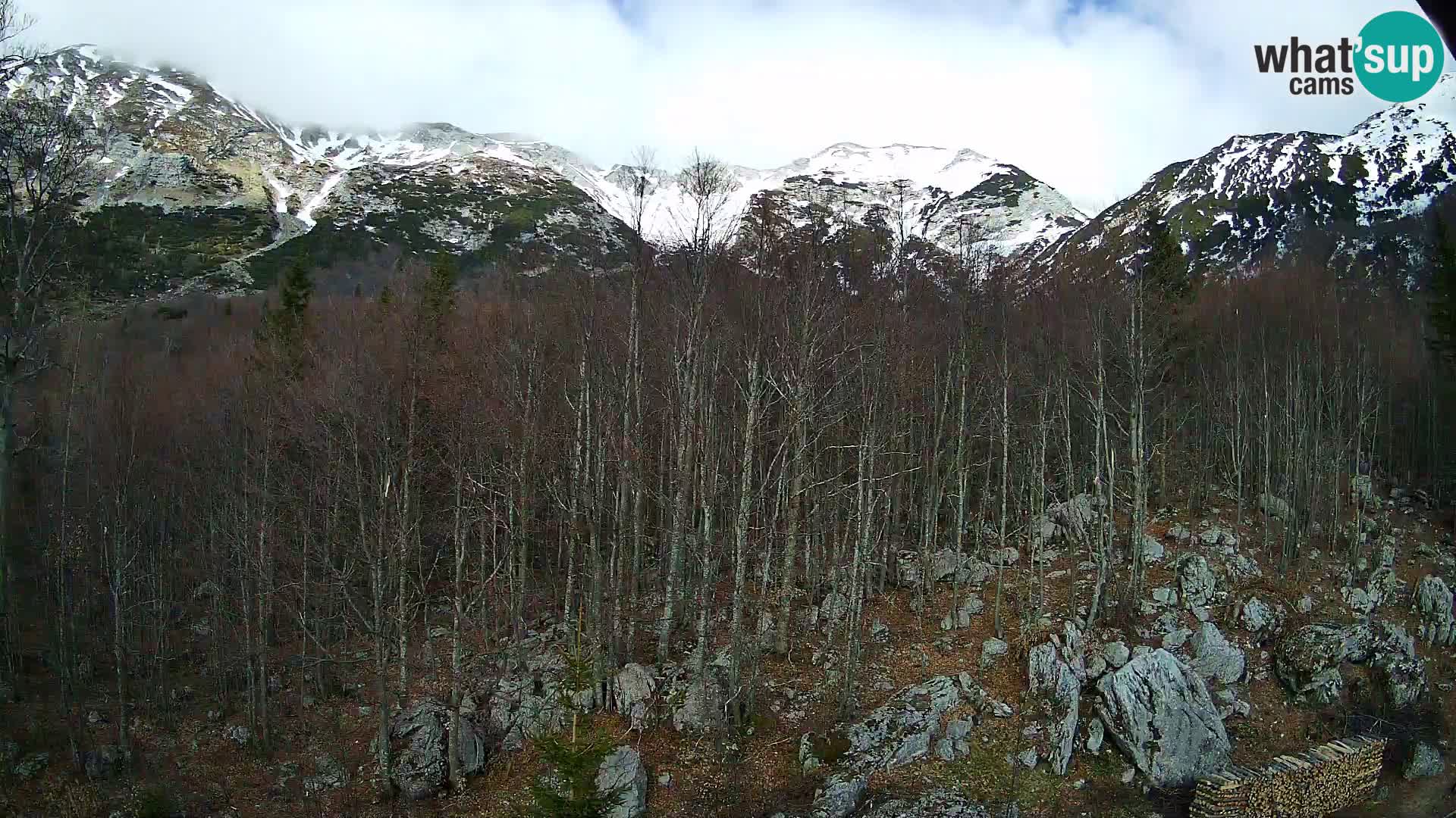 PLANINA RAZOR webcam (1315) | view to Vogel and Globoko