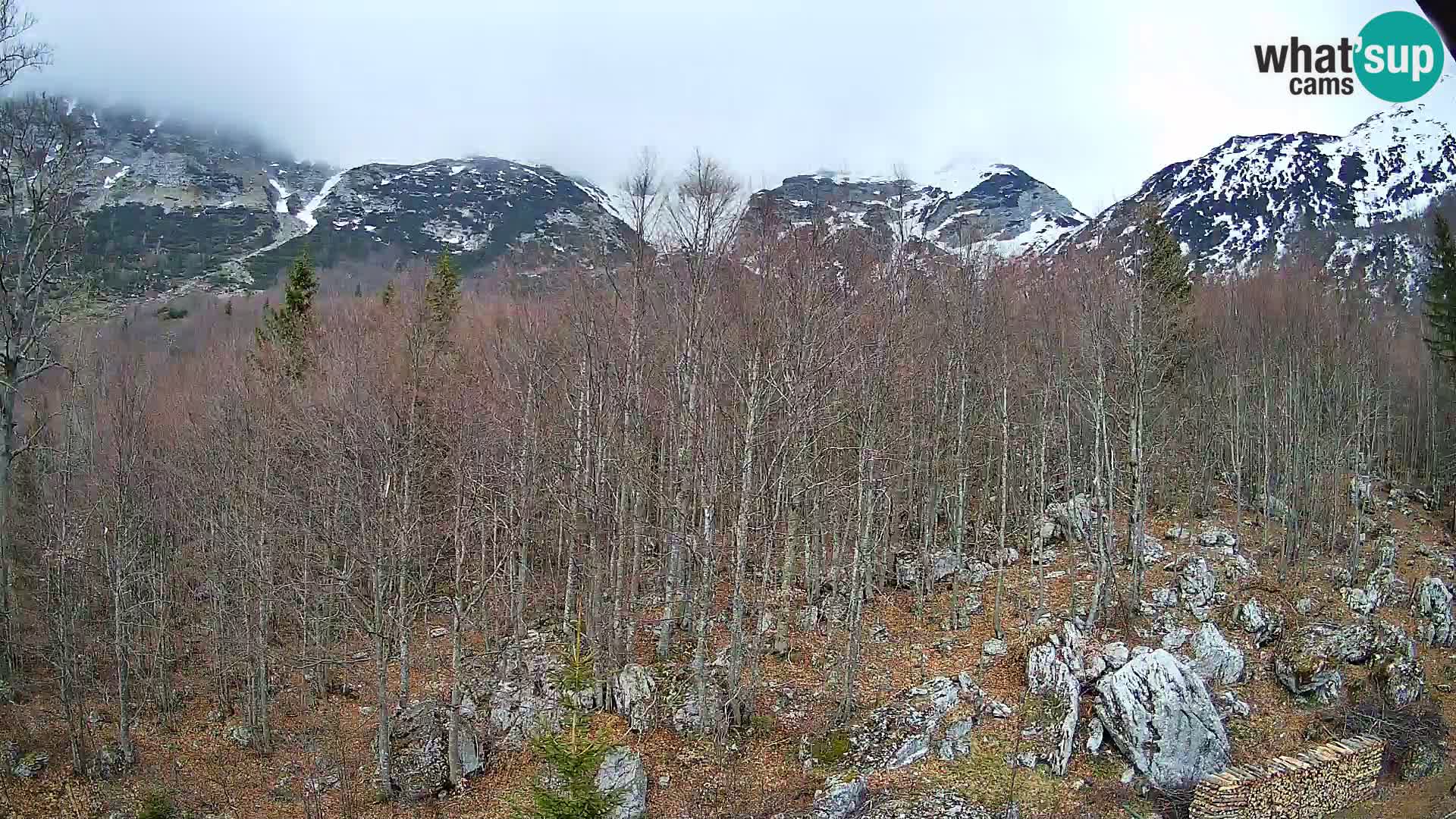 PLANINA RAZOR webcam (1315) | view to Vogel and Globoko