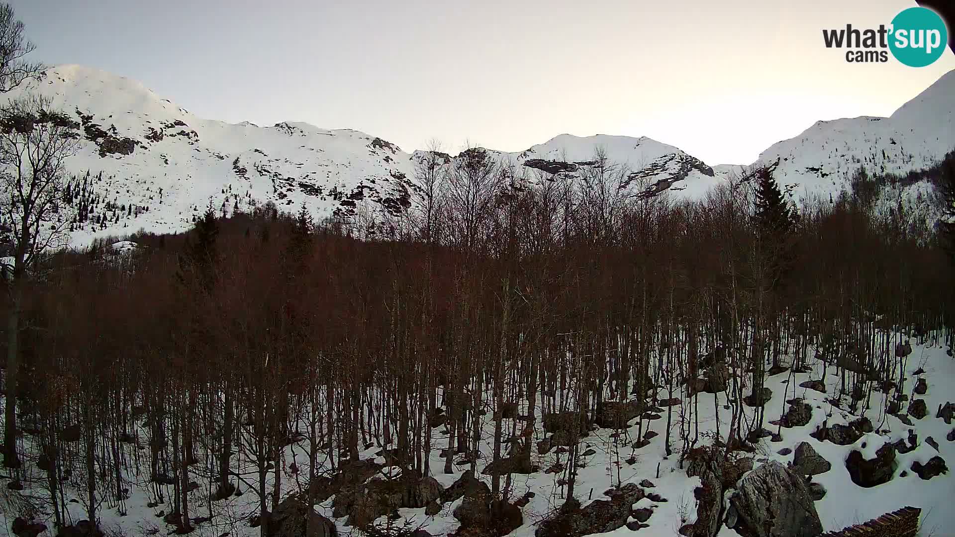 PLANINA RAZOR Live Cam (1315) | vista su Vogel e Globoko