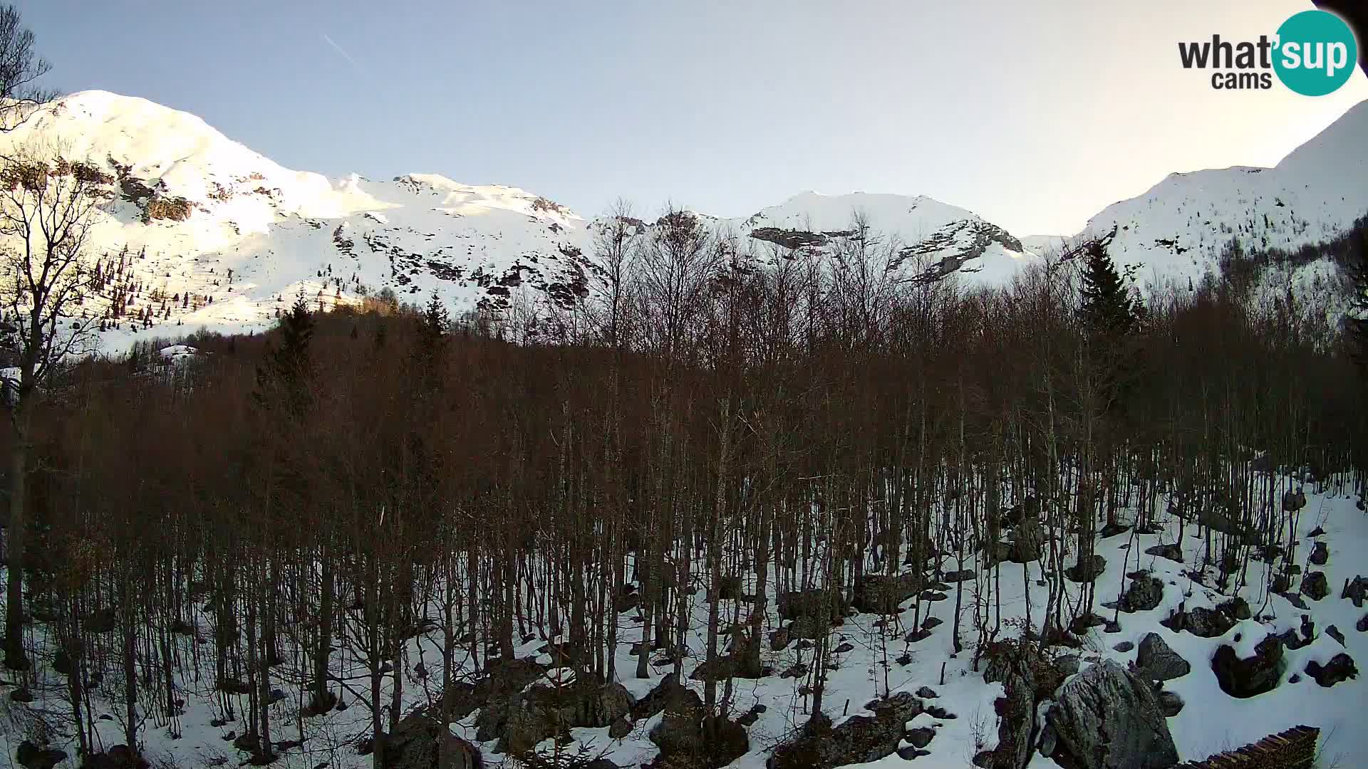 PLANINA RAZOR web kamera (1315) | pogled na Vogel i Globoko