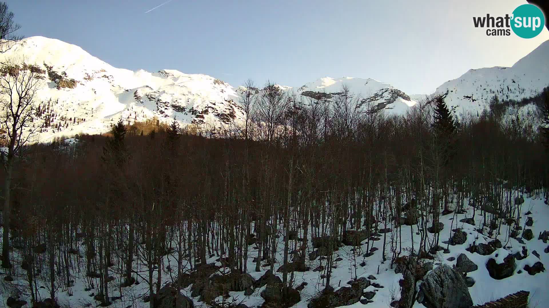 Livecam PLANINA RAZOR (1315) | vue sur Vogel et Globoko