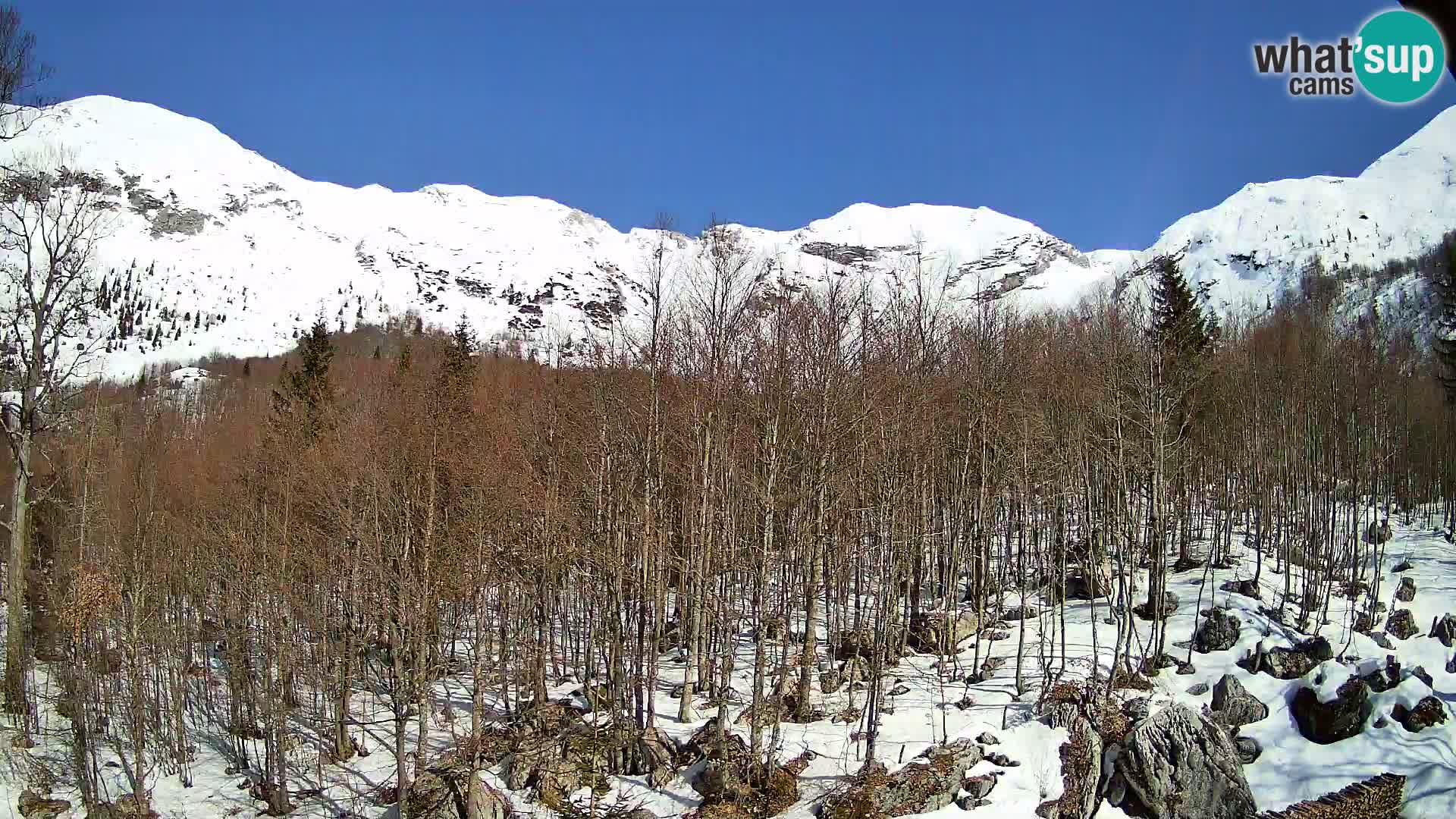 PLANINA RAZOR web kamera (1315) | pogled na Vogel i Globoko
