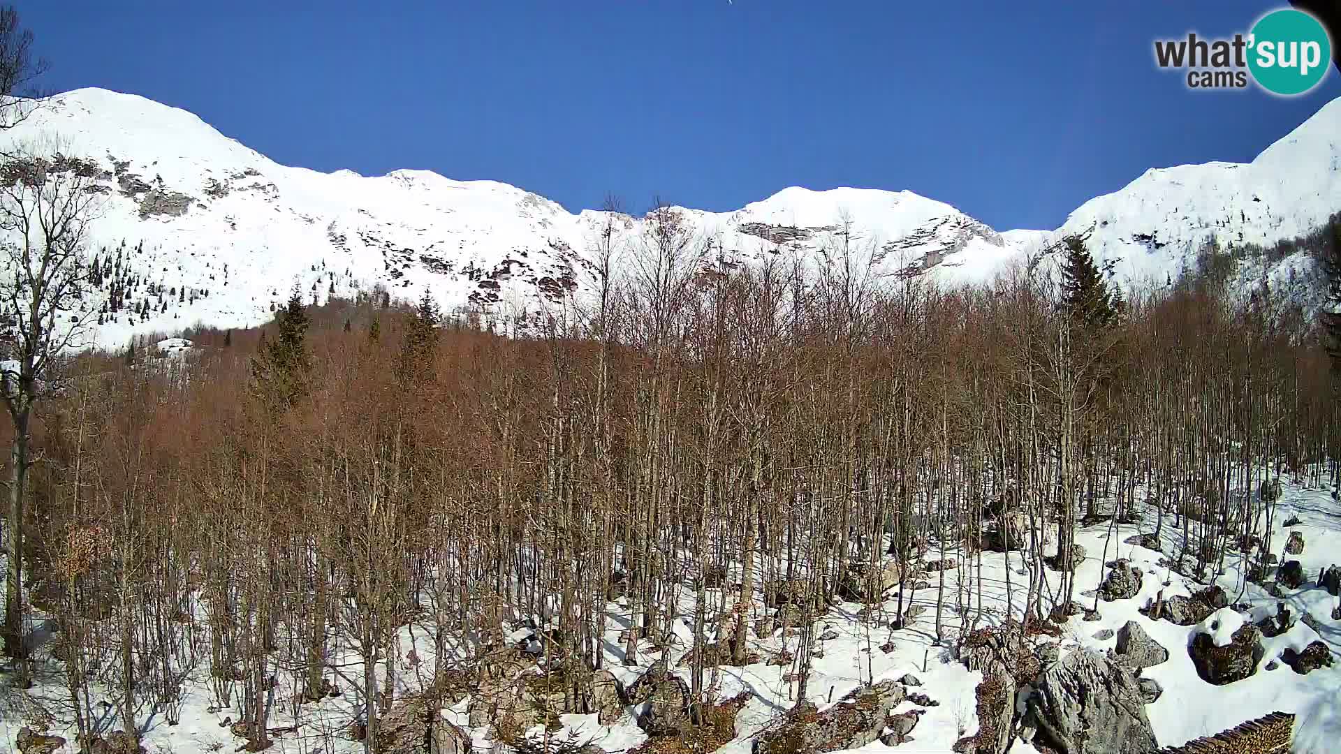 Cámara web PLANINA RAZOR (1315) | vista a Vogel y Globoko