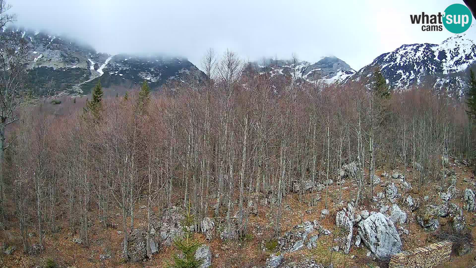 Cámara web PLANINA RAZOR (1315) | vista a Vogel y Globoko
