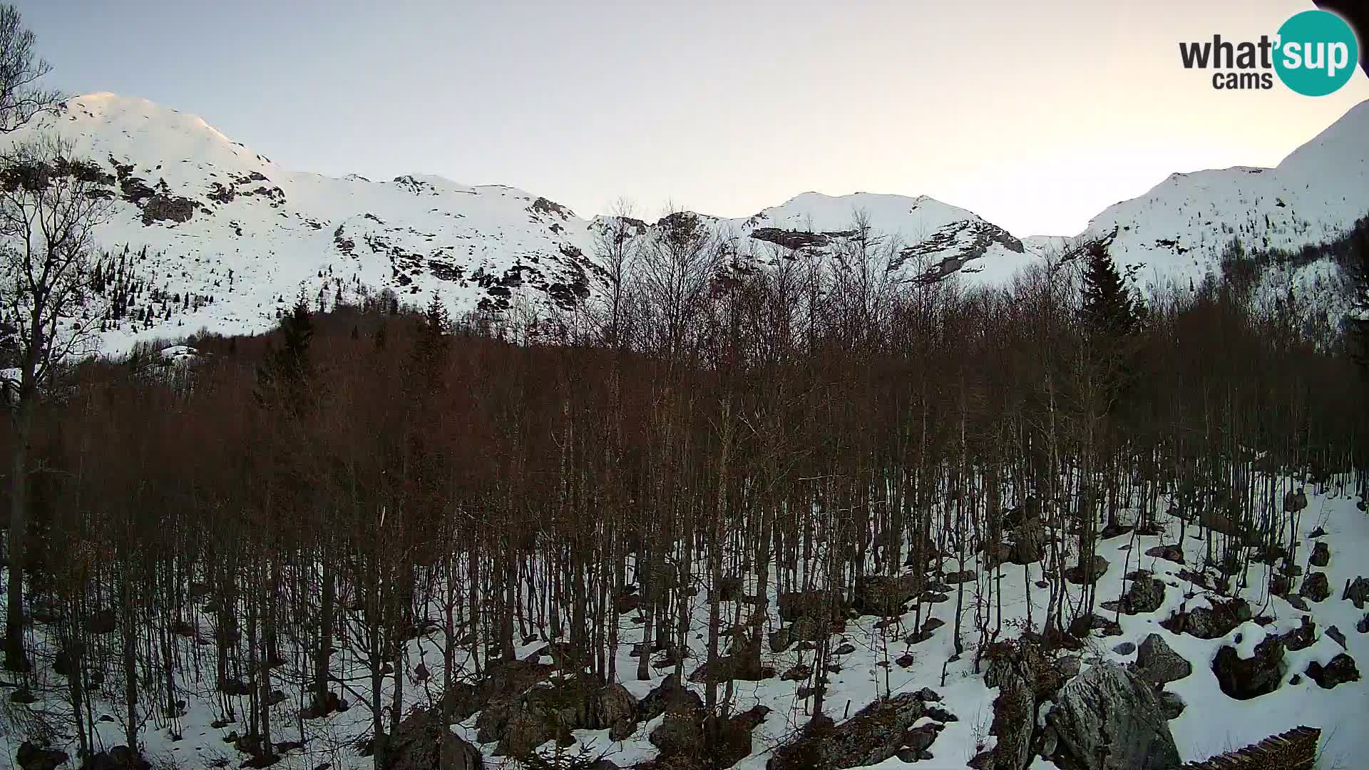 Cámara web PLANINA RAZOR (1315) | vista a Vogel y Globoko