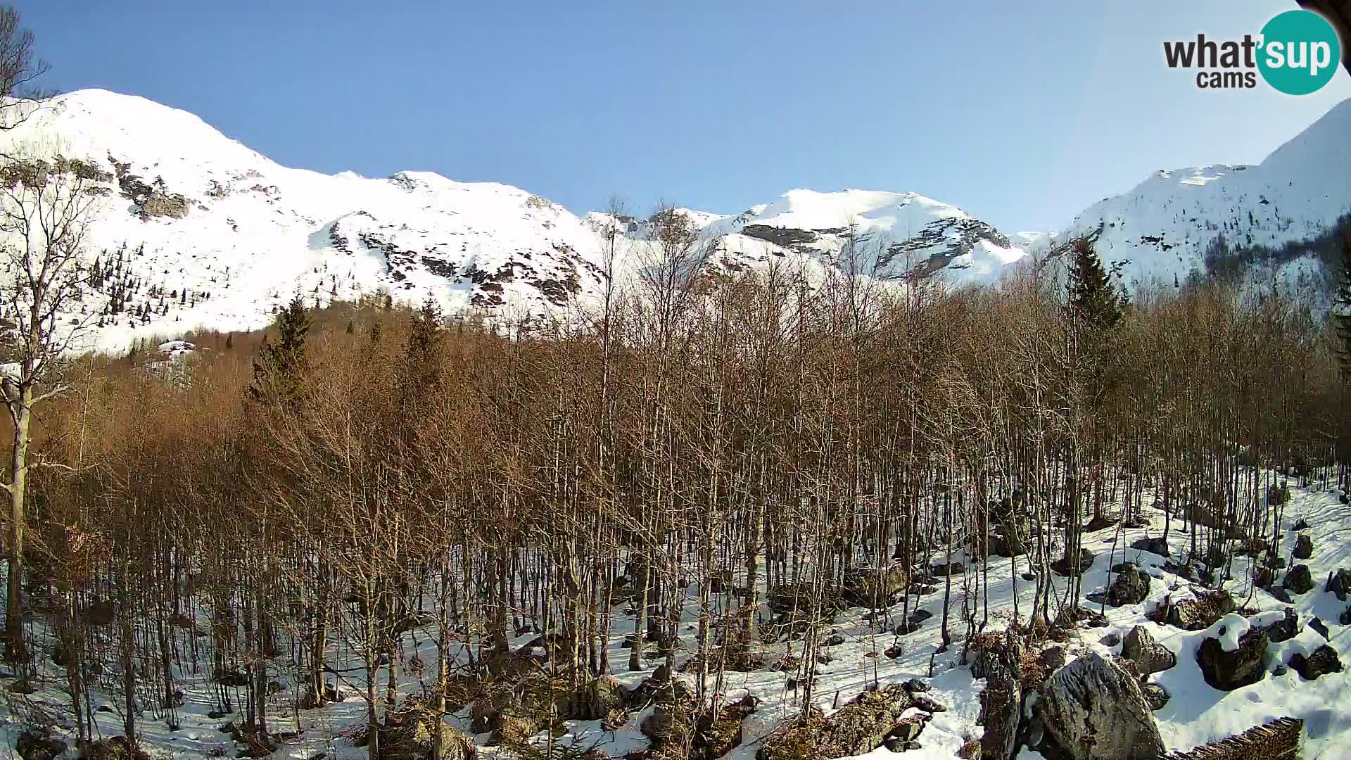 Livecam PLANINA RAZOR (1315) | vue sur Vogel et Globoko