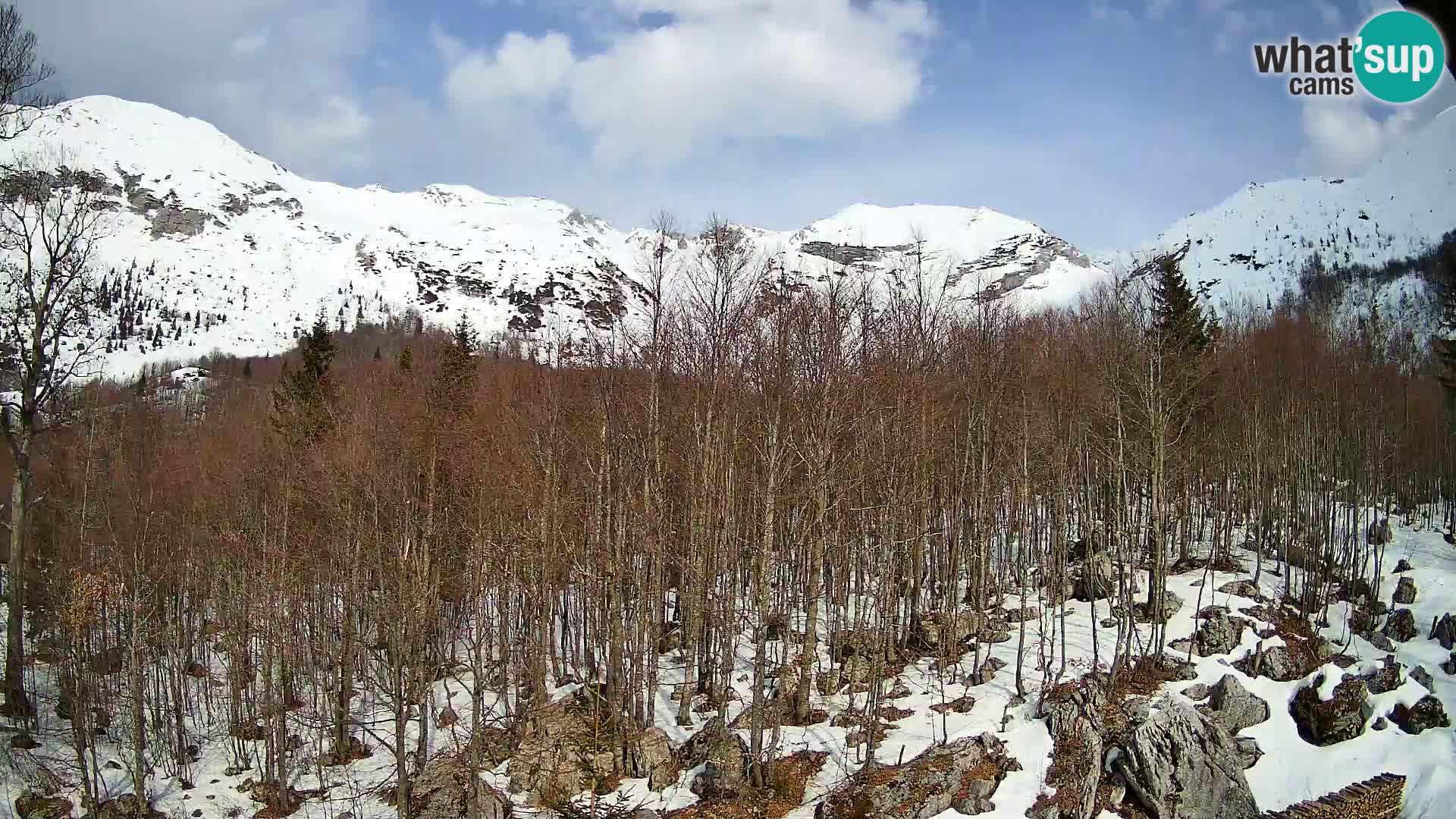 PLANINA RAZOR Live Cam (1315) | vista su Vogel e Globoko