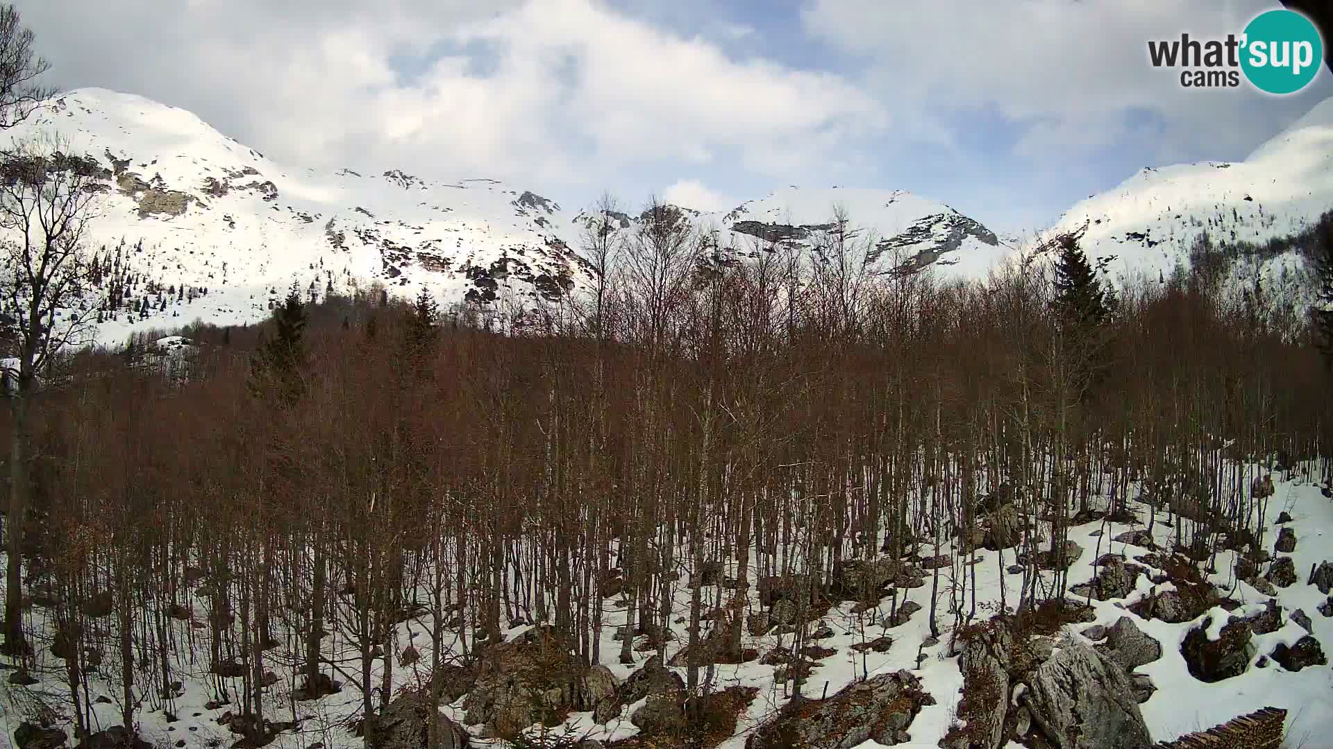 PLANINA RAZOR web kamera (1315) | pogled na Vogel i Globoko