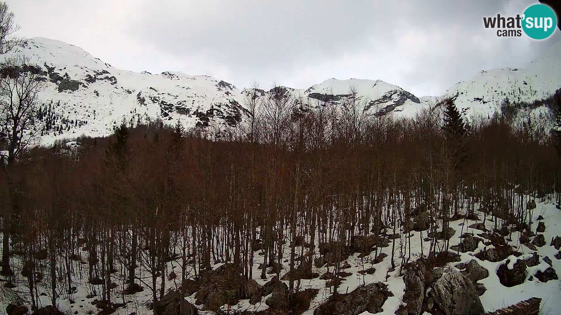 PLANINA RAZOR Live Cam (1315) | vista su Vogel e Globoko