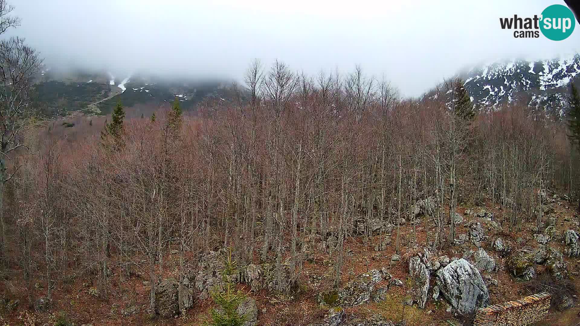 PLANINA RAZOR webcam (1315) | view to Vogel and Globoko