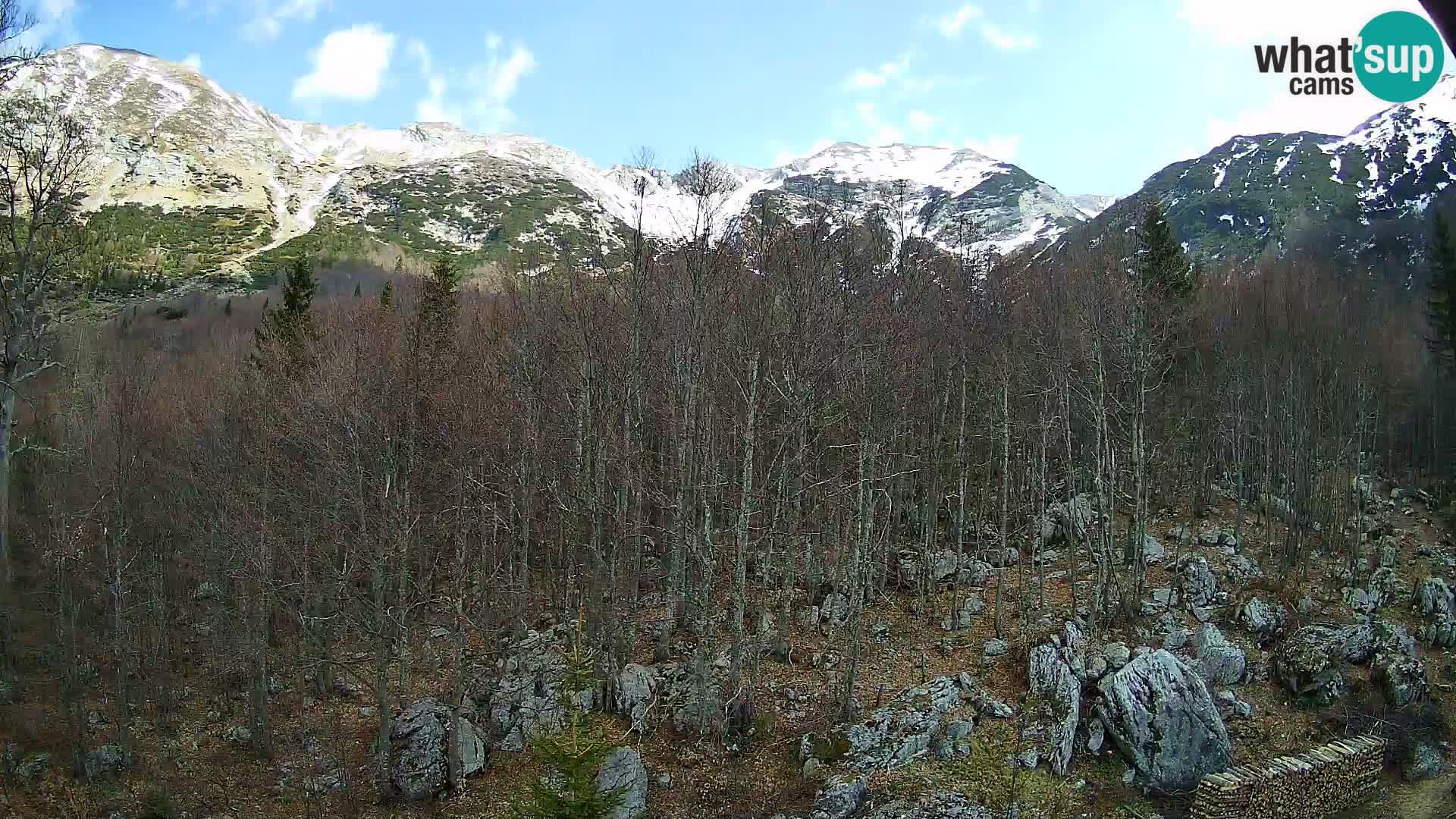 PLANINA RAZOR web kamera (1315) | pogled na Vogel i Globoko