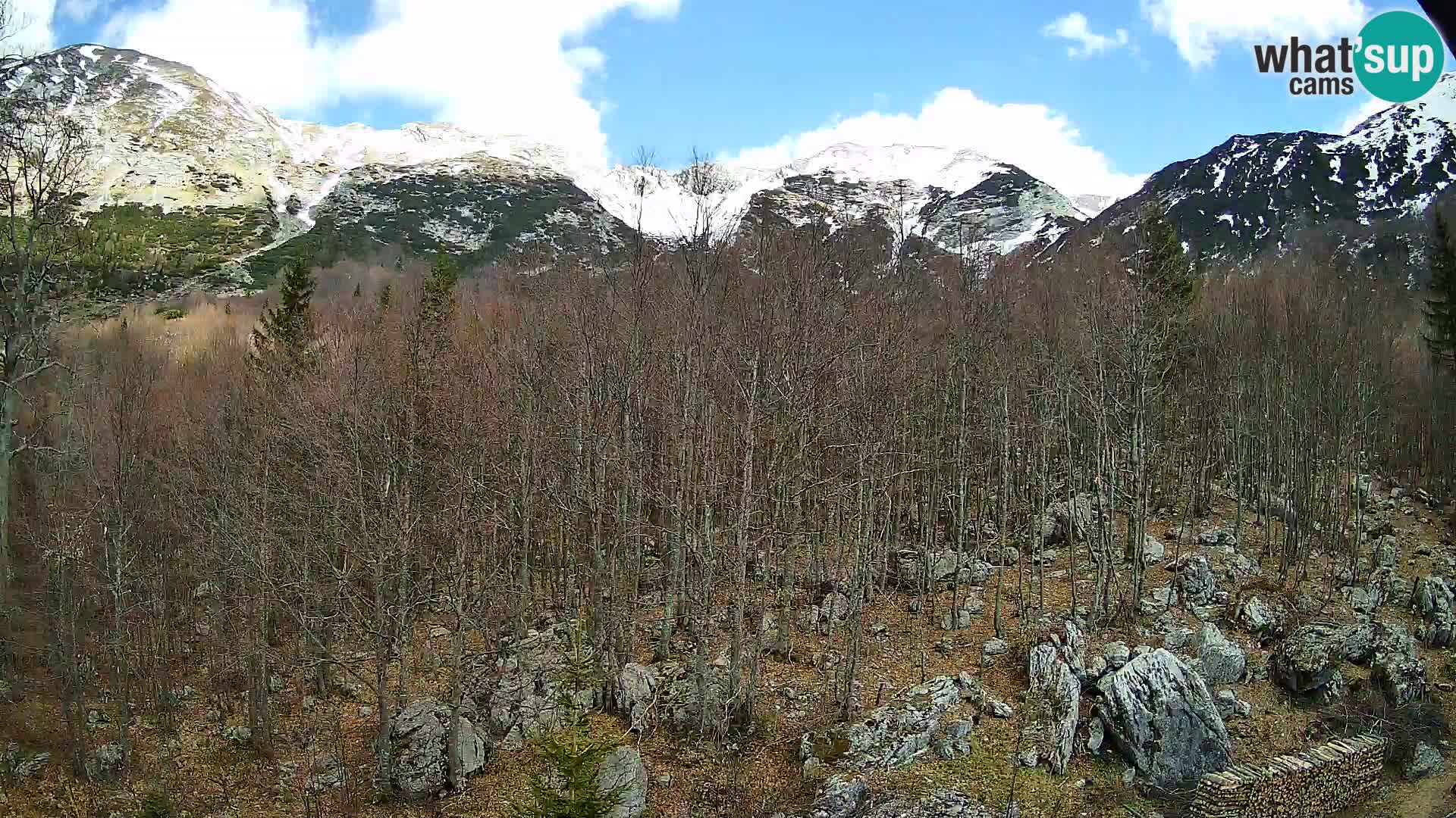PLANINA RAZOR Live Cam (1315) | vista su Vogel e Globoko