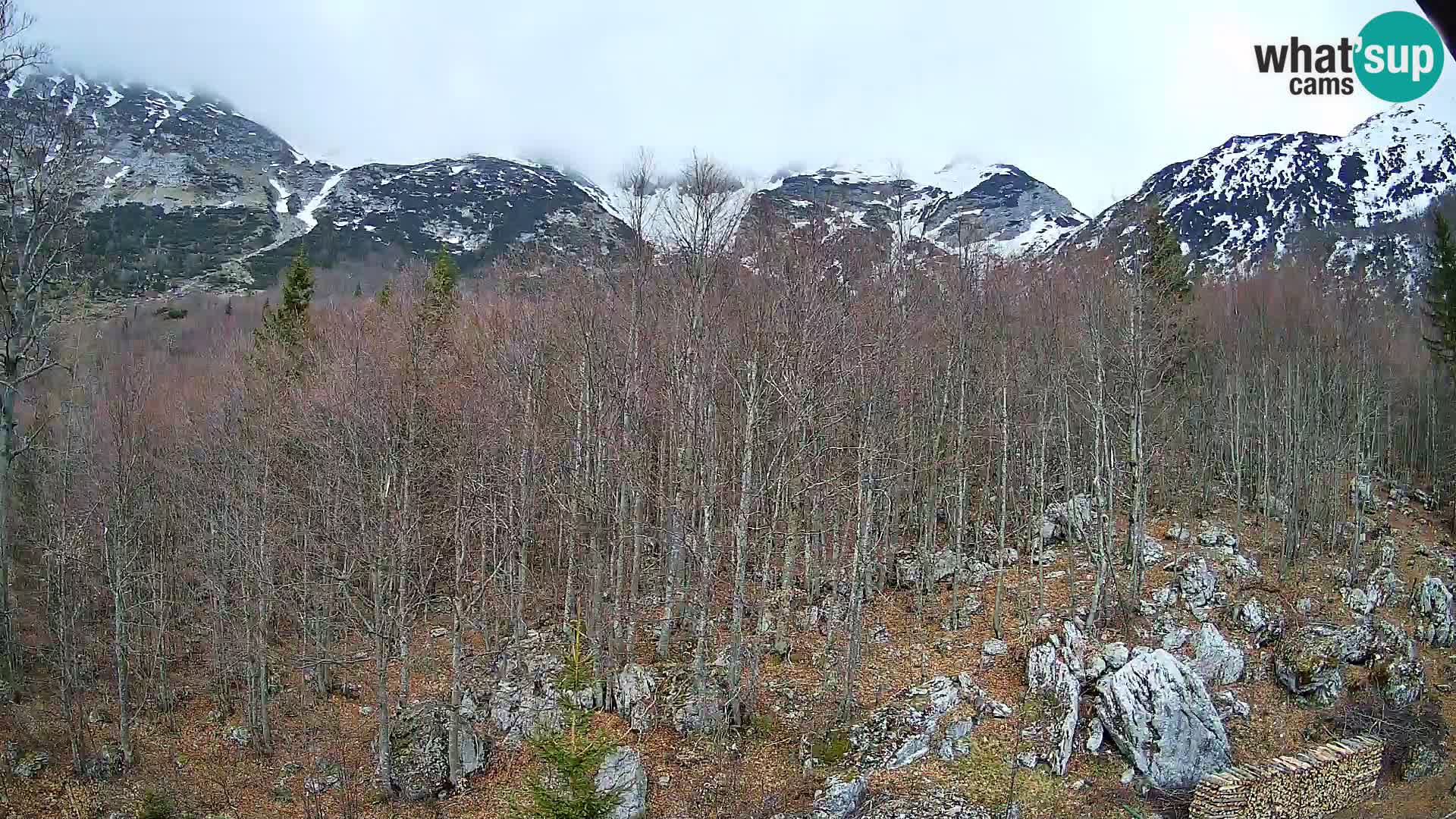 PLANINA RAZOR webcam (1315) | view to Vogel and Globoko
