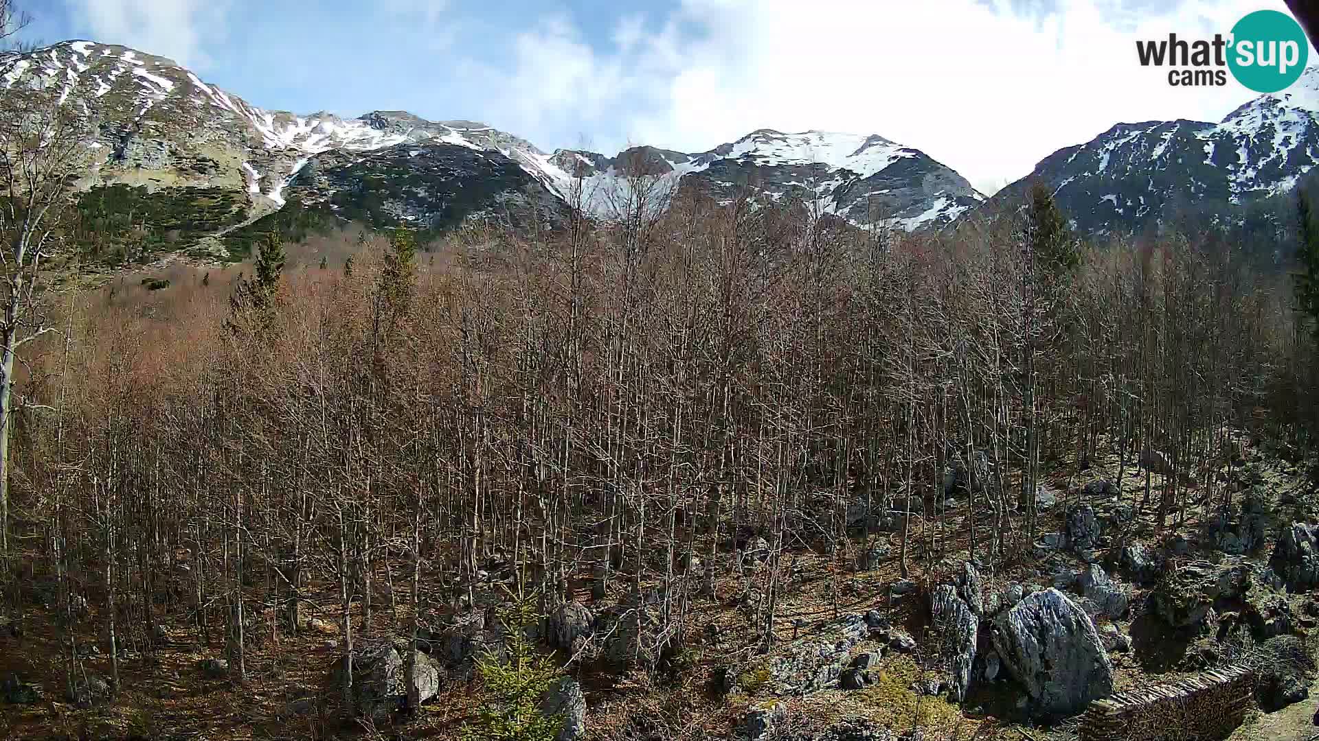 PLANINA RAZOR web kamera (1315) | pogled na Vogel i Globoko