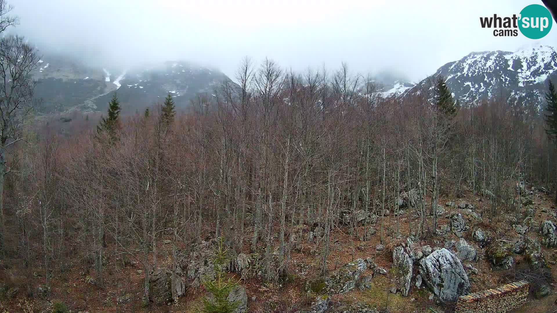 Livecam PLANINA RAZOR (1315) | vue sur Vogel et Globoko