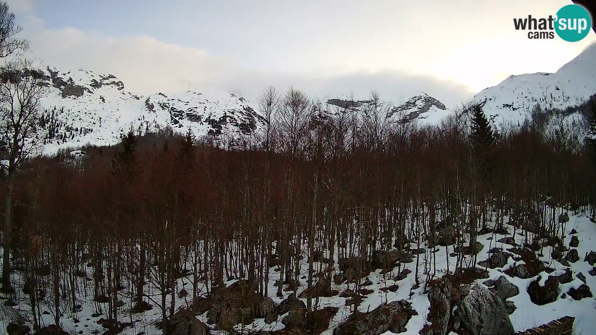 PLANINA RAZOR kamera (1315) | pogled na Vogel in Globoko