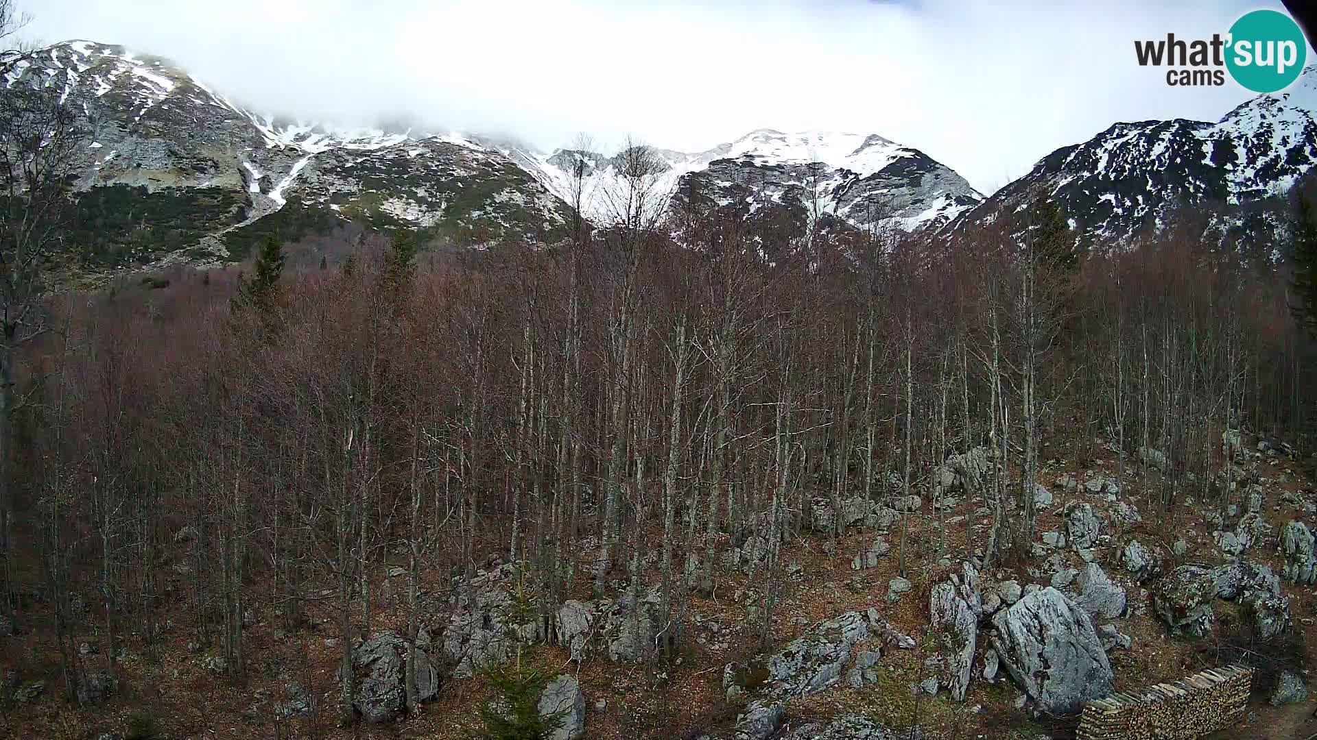Livecam PLANINA RAZOR (1315) | vue sur Vogel et Globoko