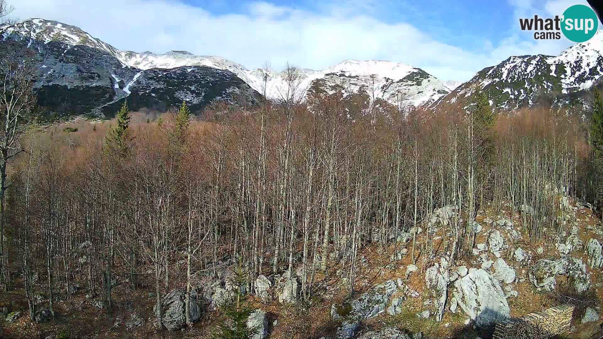 Webcam PLANINA RAZOR (1315) | Blick auf Vogel und Globoko