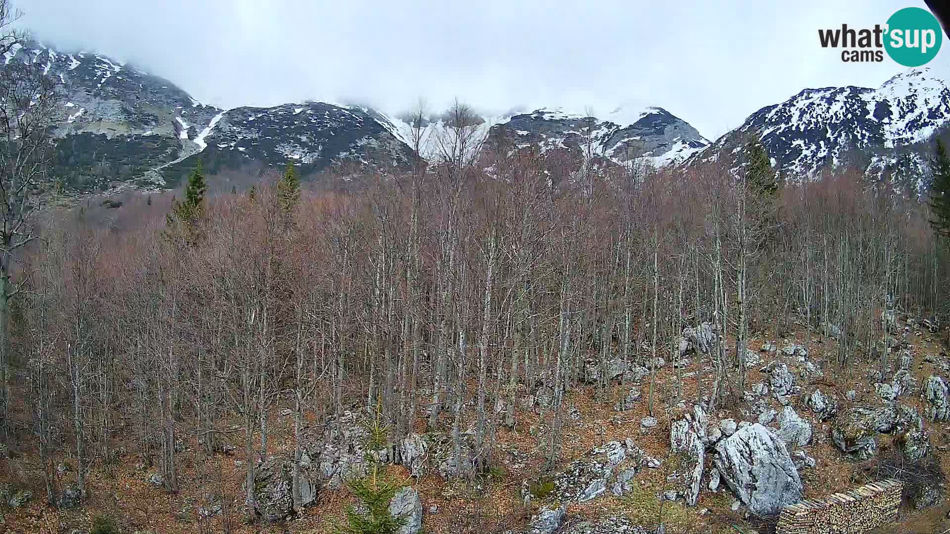 PLANINA RAZOR web kamera (1315) | pogled na Vogel i Globoko