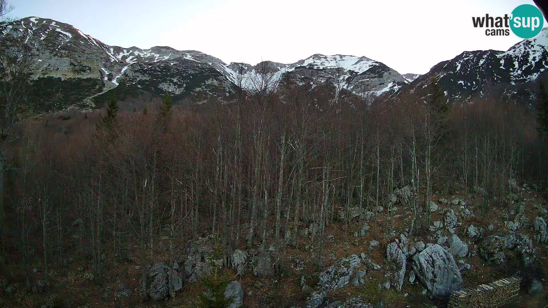 Livecam PLANINA RAZOR (1315) | vue sur Vogel et Globoko