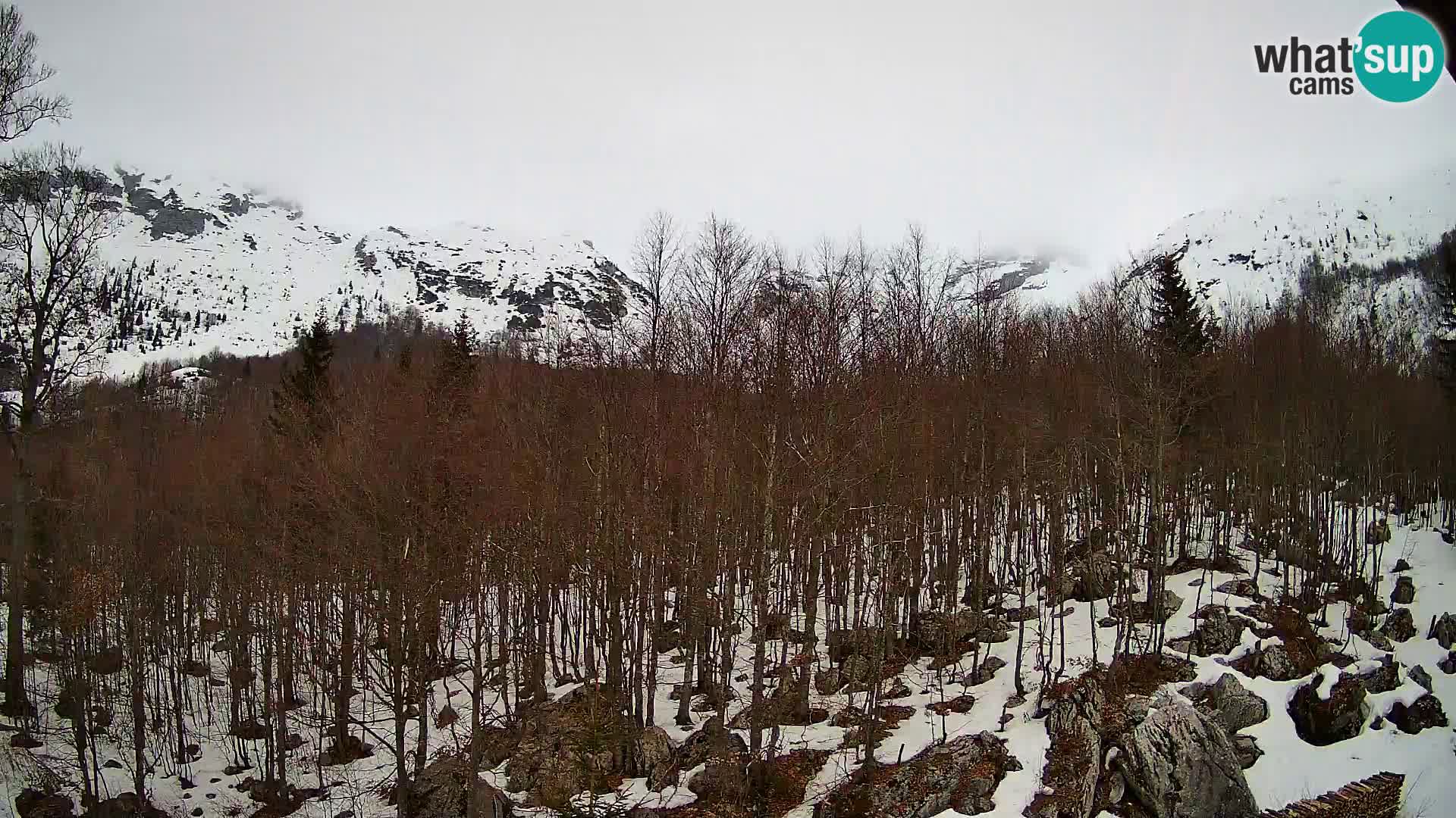PLANINA RAZOR web kamera (1315) | pogled na Vogel i Globoko