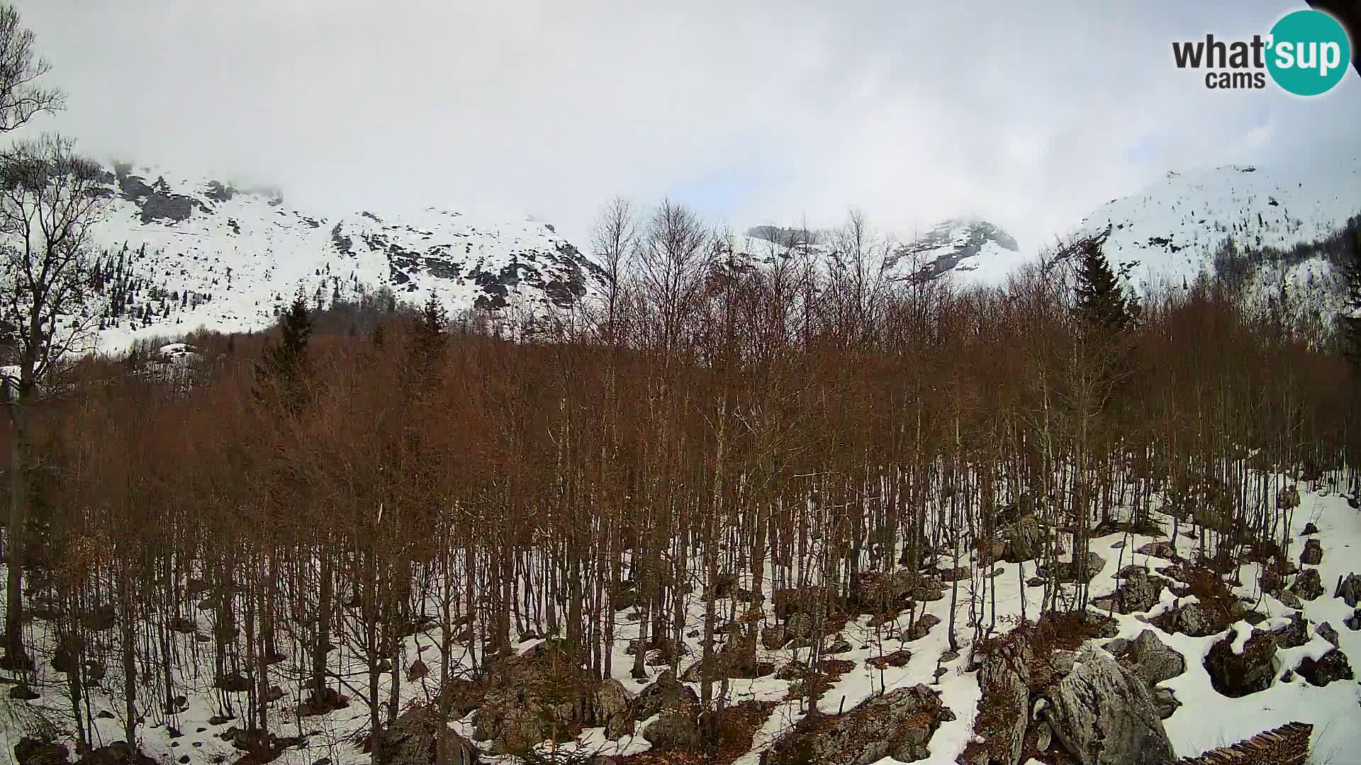 PLANINA RAZOR webcam (1315) | view to Vogel and Globoko