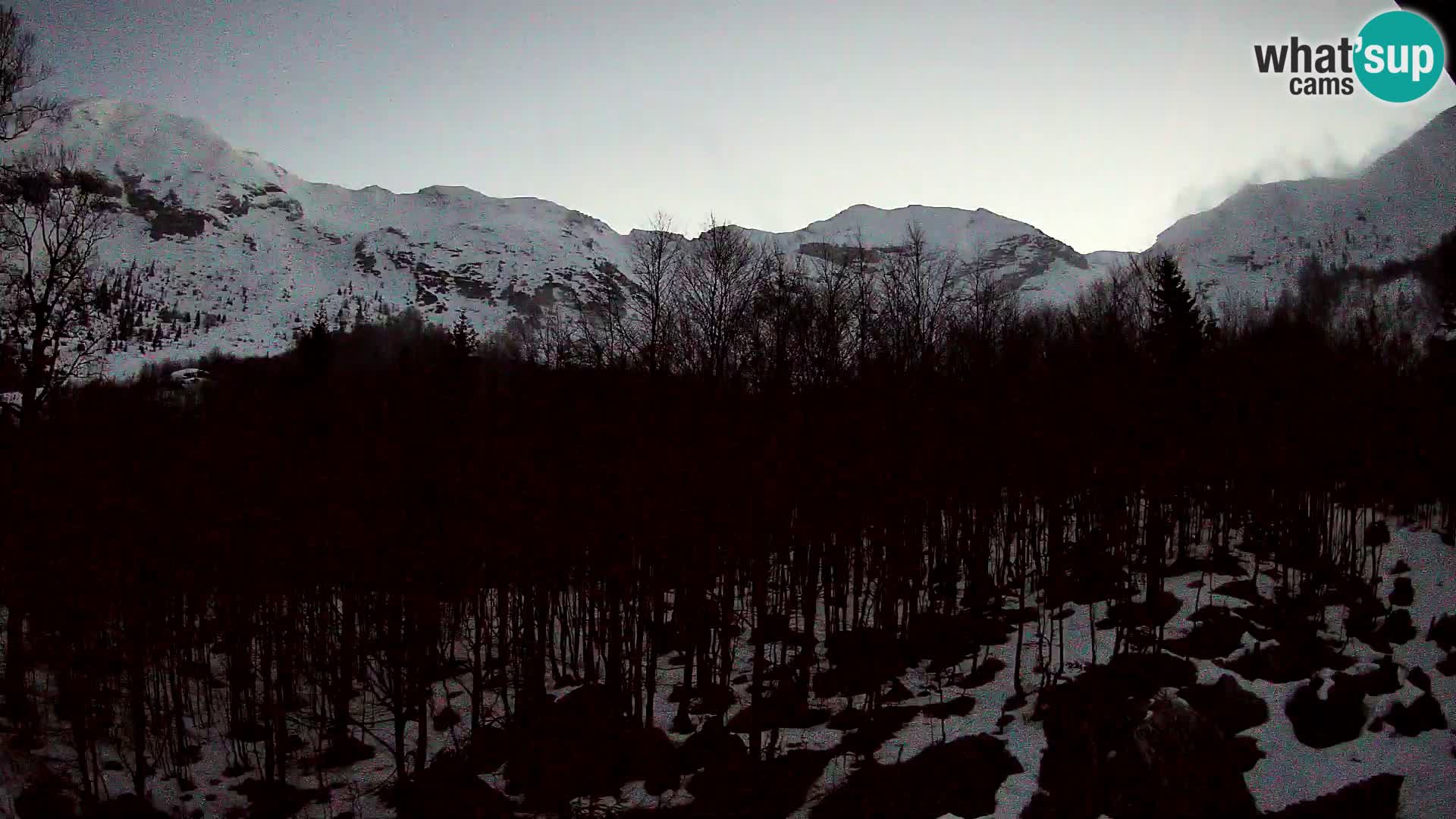 Webcam PLANINA RAZOR (1315) | Blick auf Vogel und Globoko