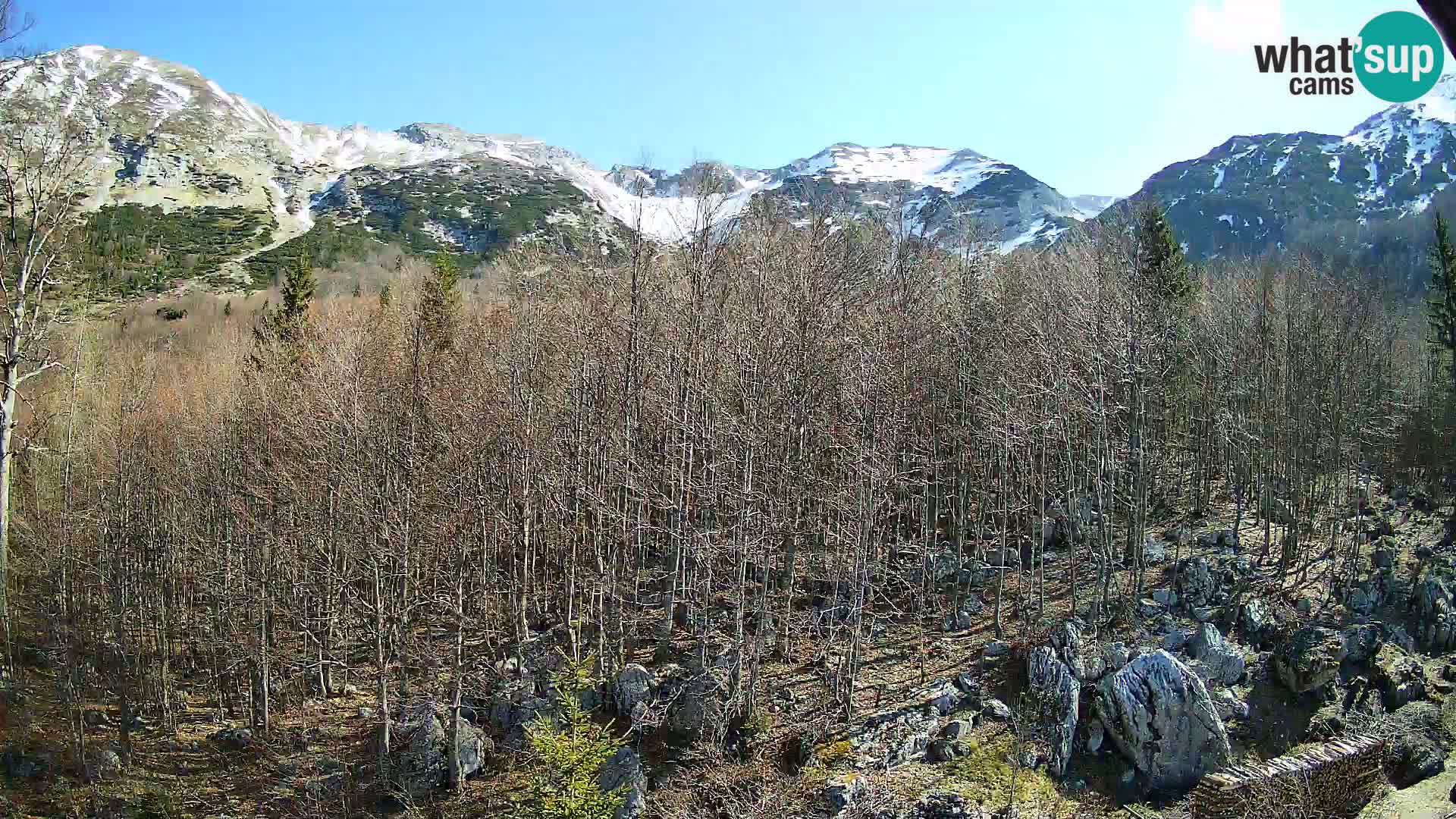 PLANINA RAZOR kamera (1315) | pogled na Vogel in Globoko