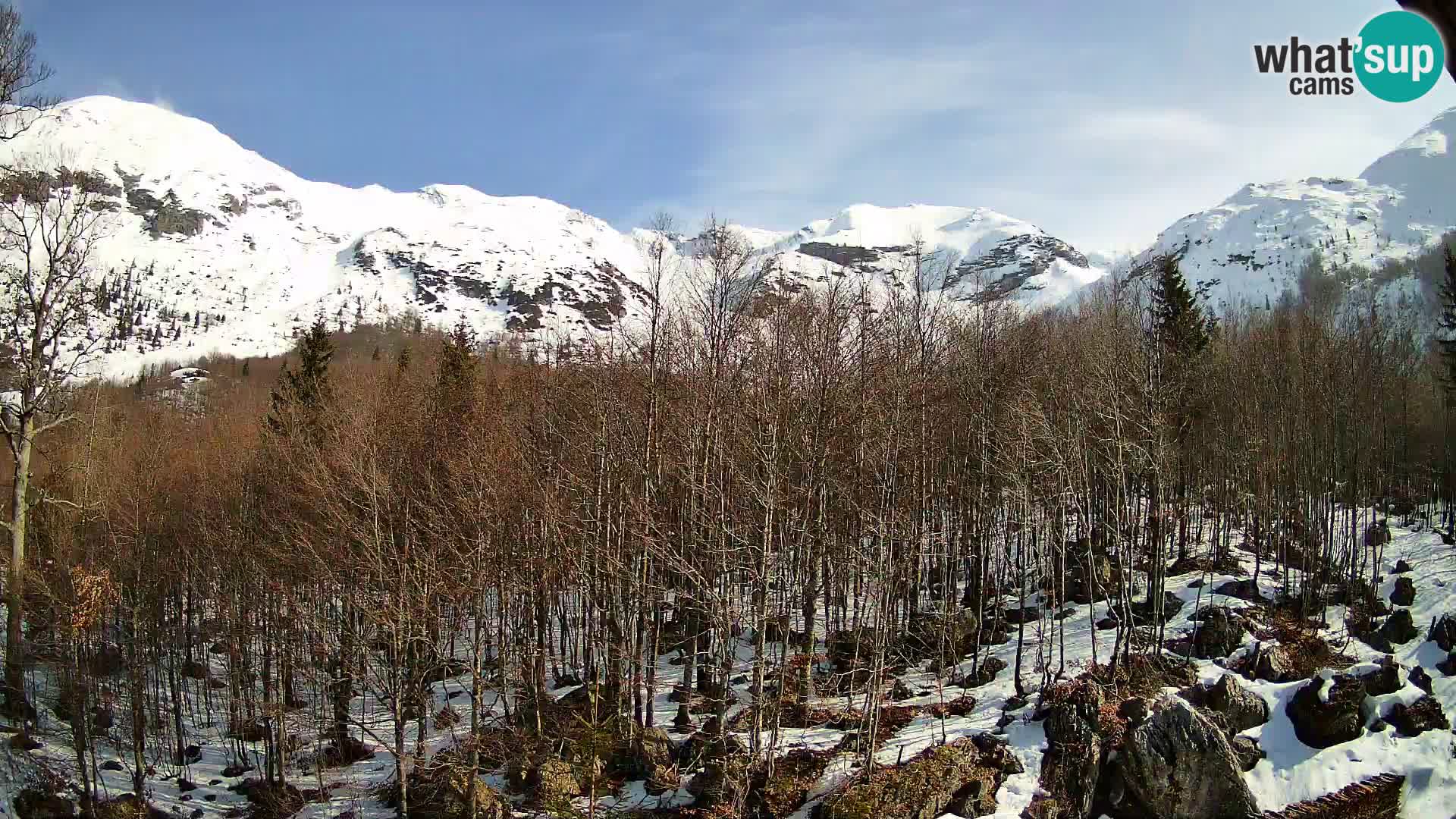 PLANINA RAZOR web kamera (1315) | pogled na Vogel i Globoko