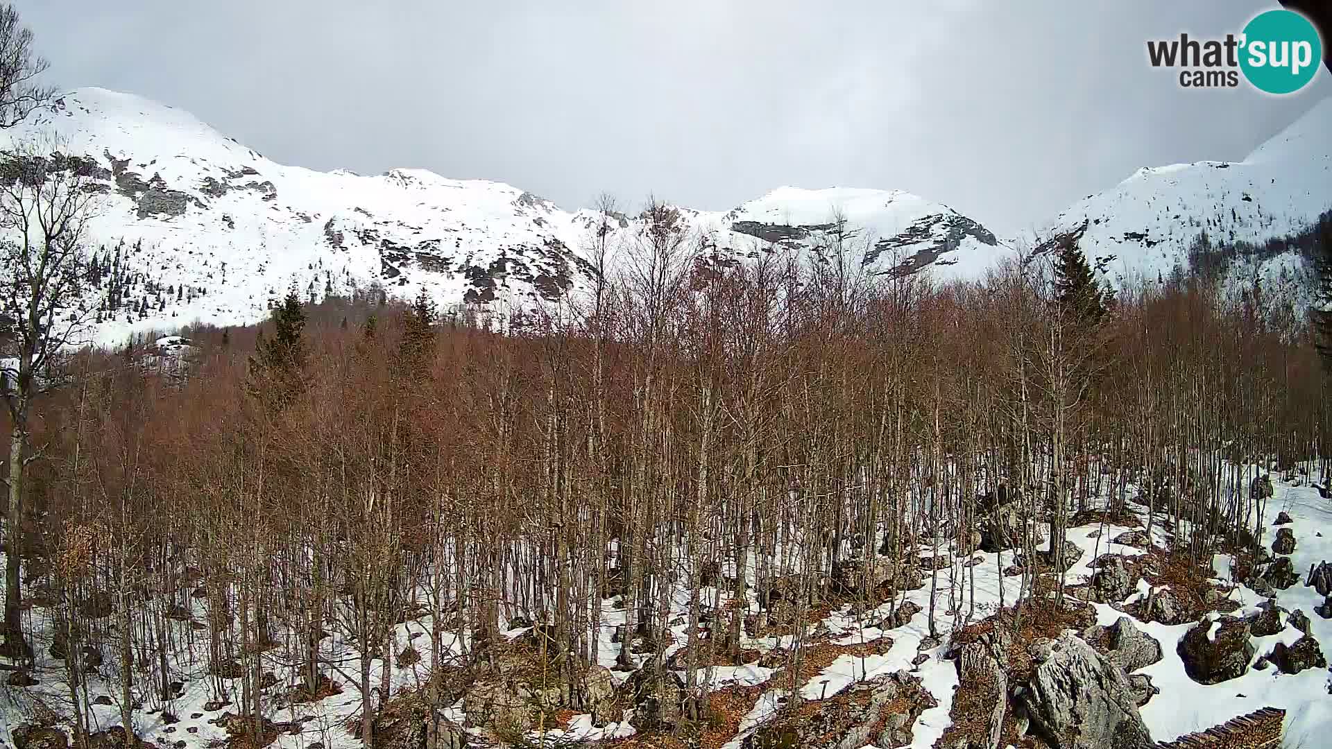 Livecam PLANINA RAZOR (1315) | vue sur Vogel et Globoko