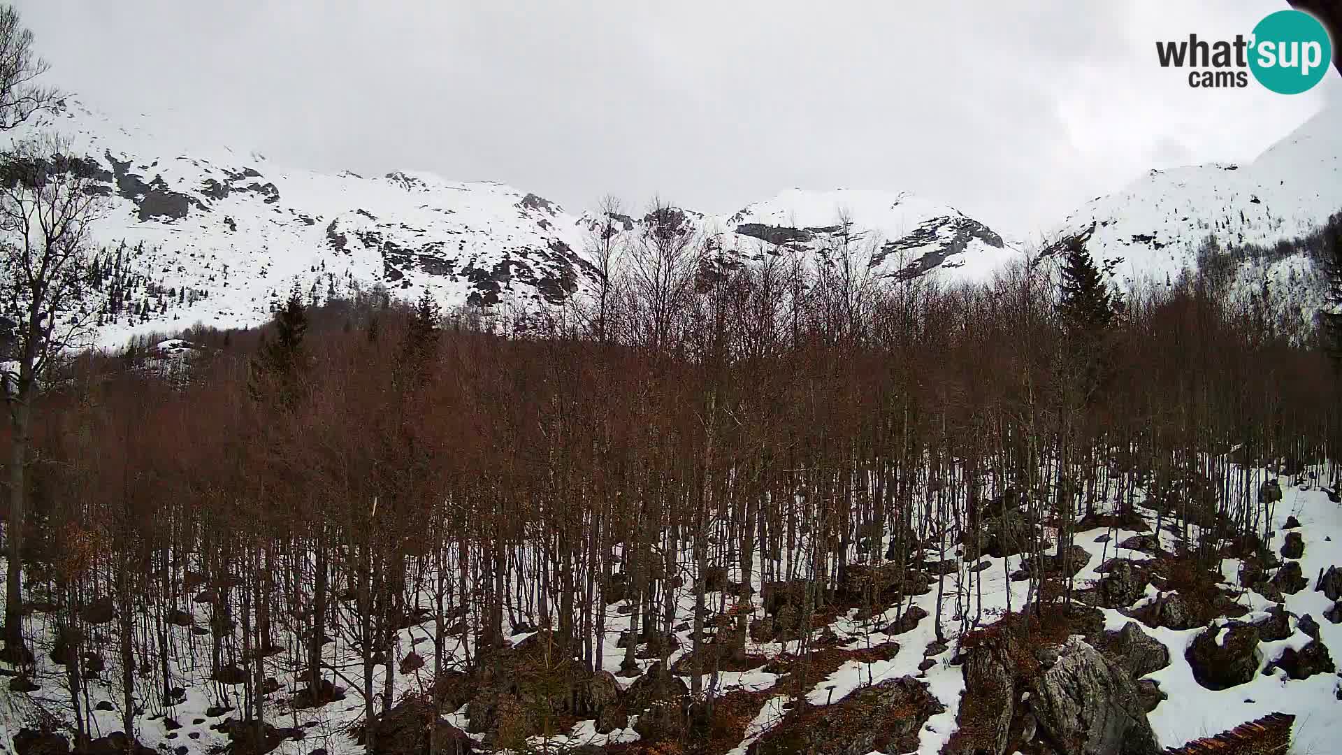 PLANINA RAZOR kamera (1315) | pogled na Vogel in Globoko
