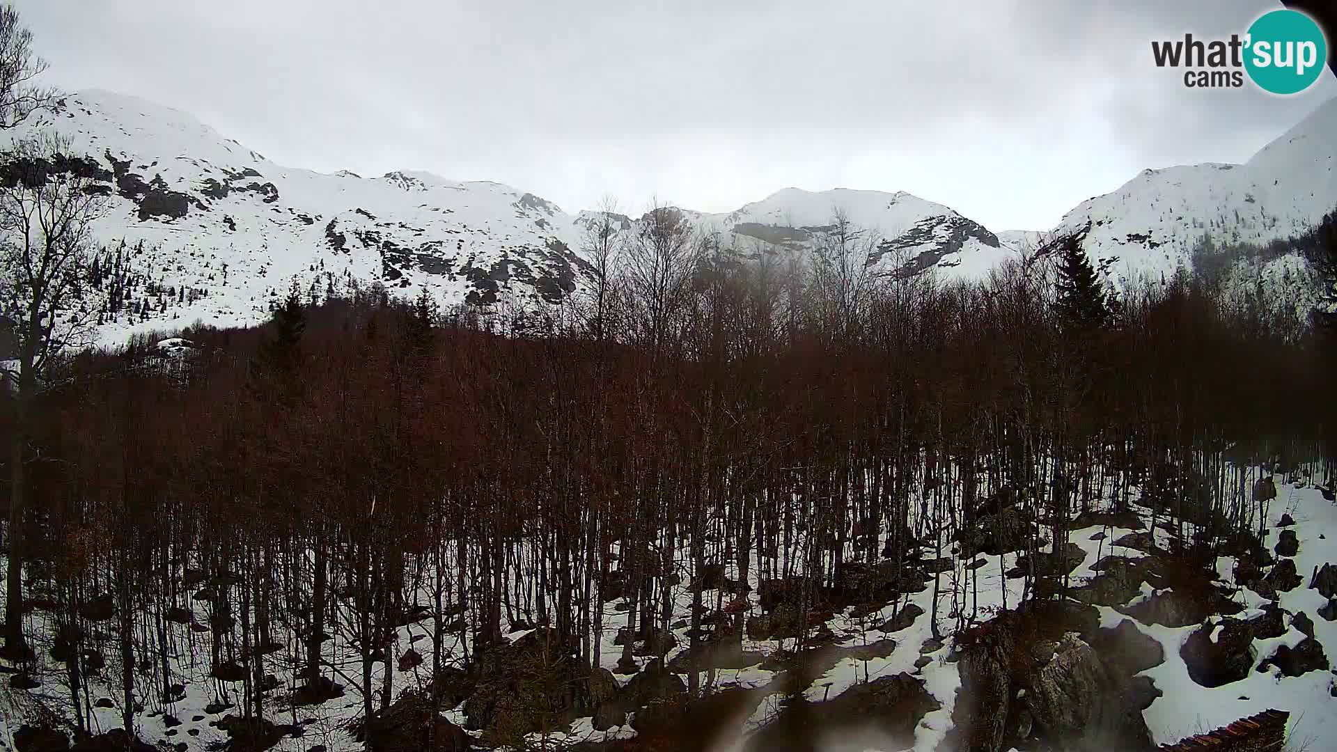 PLANINA RAZOR kamera (1315) | pogled na Vogel in Globoko