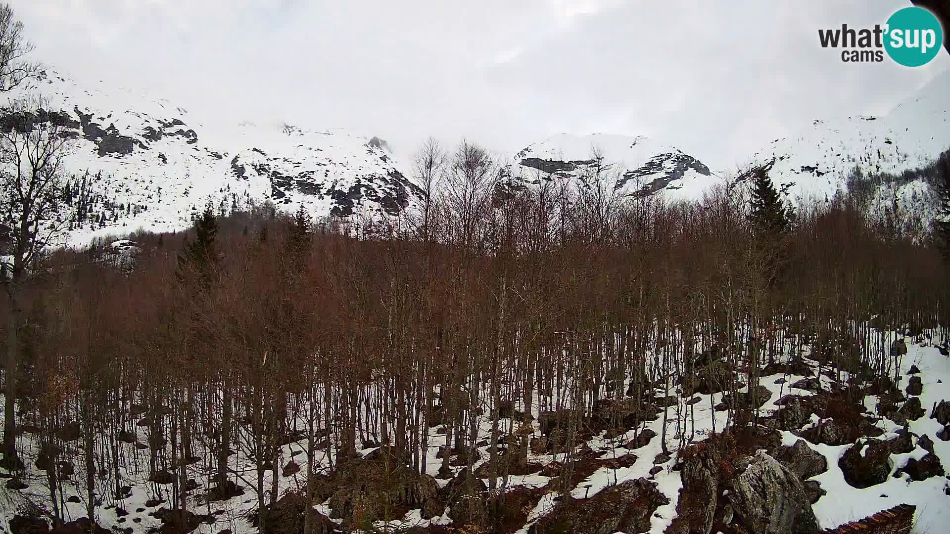 PLANINA RAZOR kamera (1315) | pogled na Vogel in Globoko