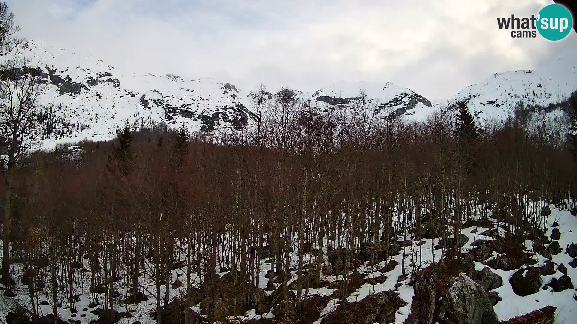 PLANINA RAZOR Live Cam (1315) | vista su Vogel e Globoko