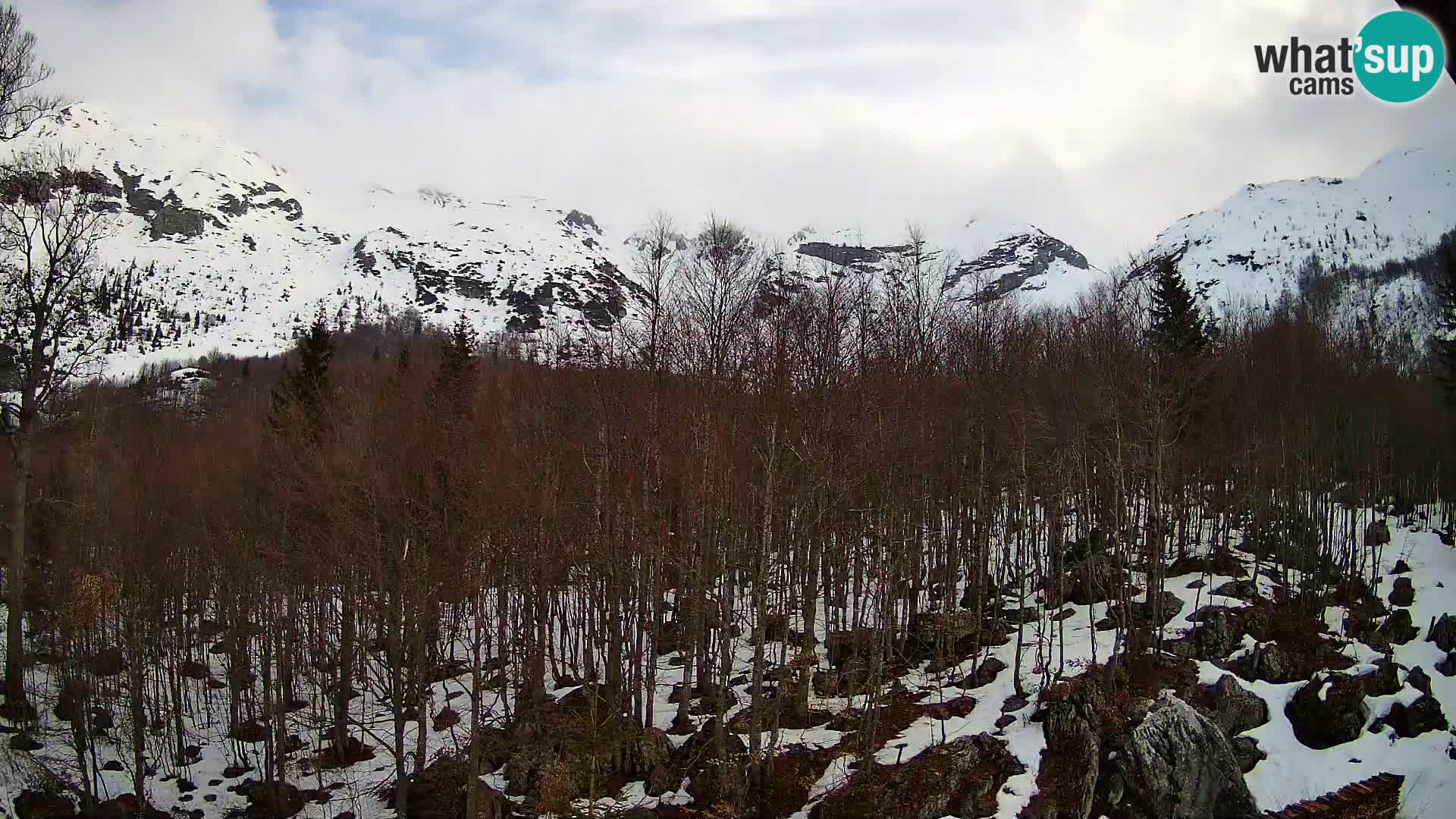 PLANINA RAZOR webcam (1315) | view to Vogel and Globoko