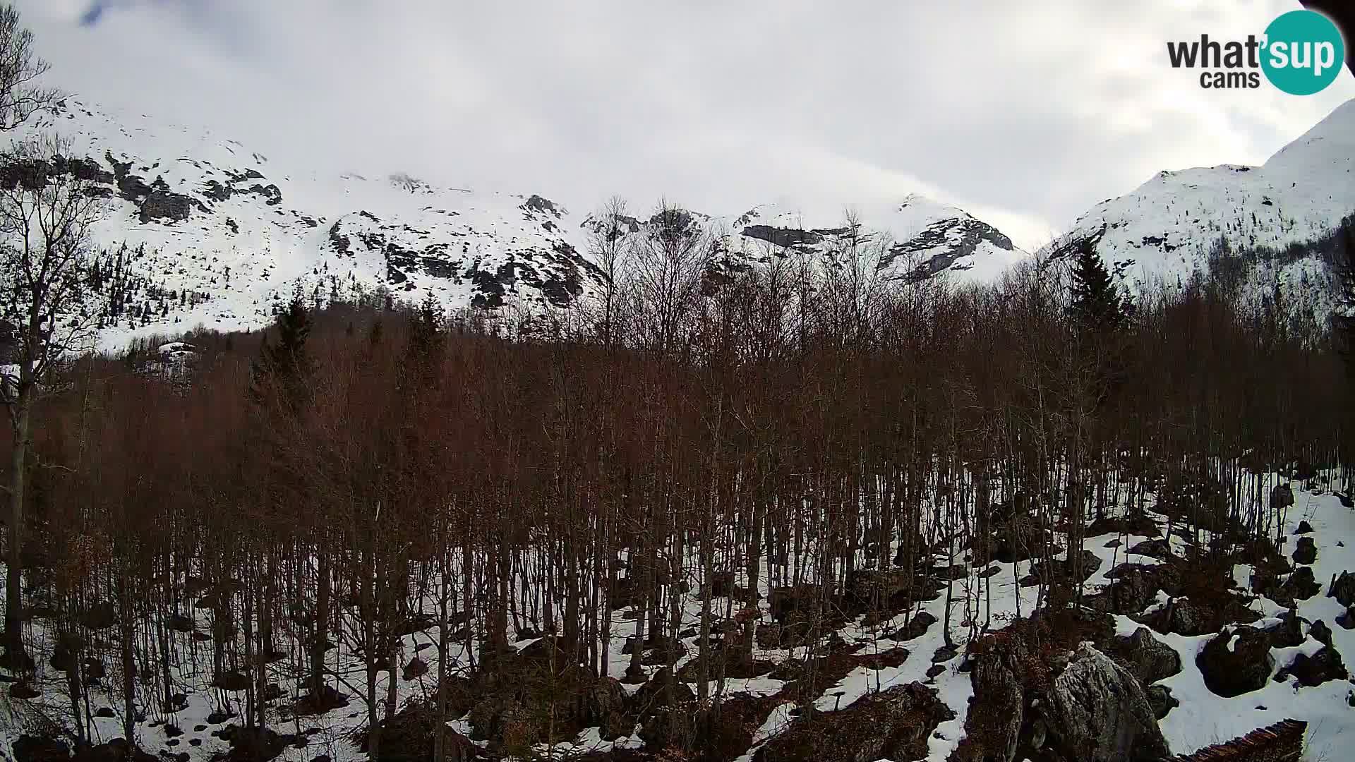 PLANINA RAZOR web kamera (1315) | pogled na Vogel i Globoko