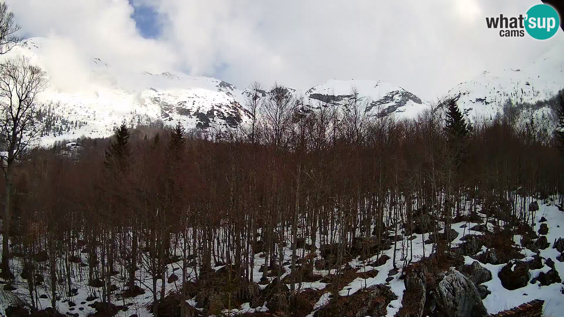 PLANINA RAZOR webcam (1315) | view to Vogel and Globoko