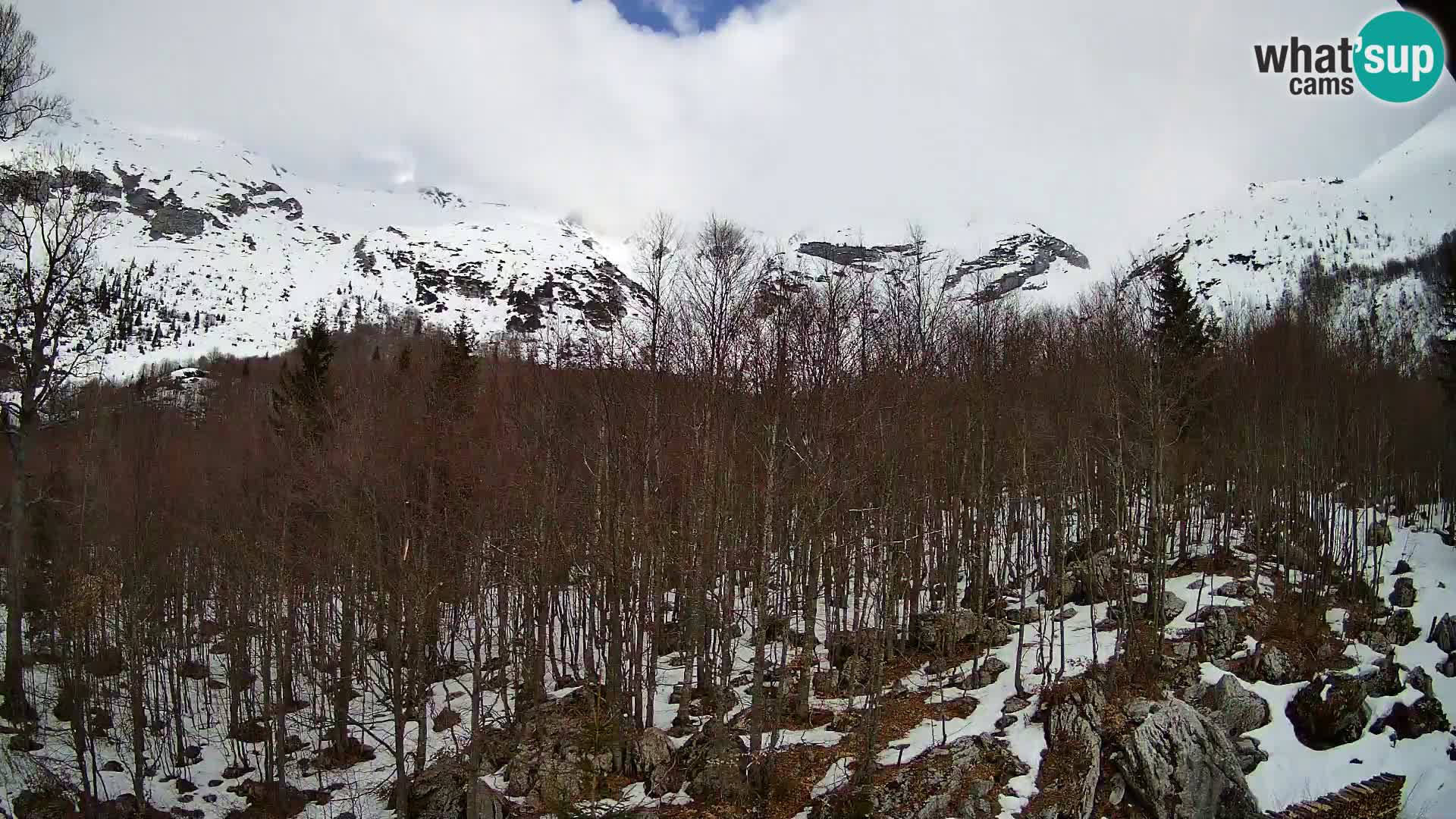 PLANINA RAZOR webcam (1315) | view to Vogel and Globoko