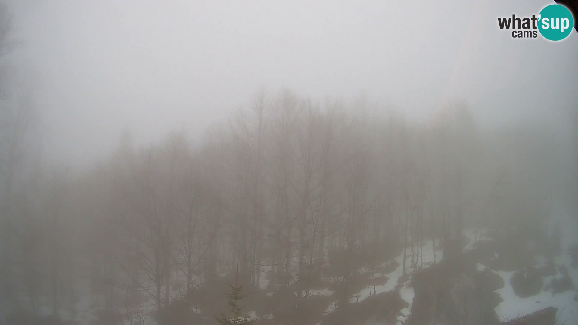 PLANINA RAZOR web kamera (1315) | pogled na Vogel i Globoko