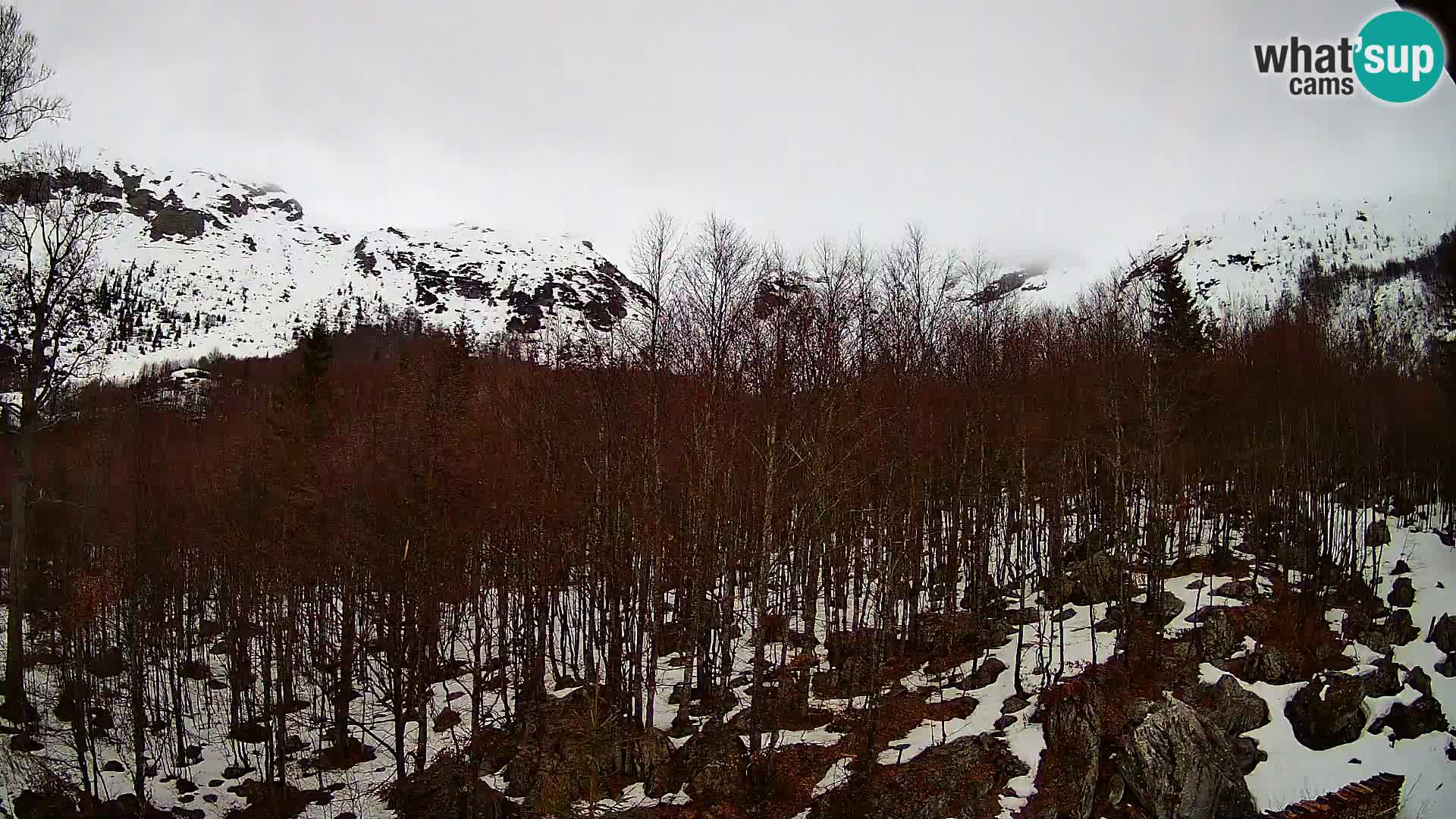 PLANINA RAZOR Live Cam (1315) | vista su Vogel e Globoko