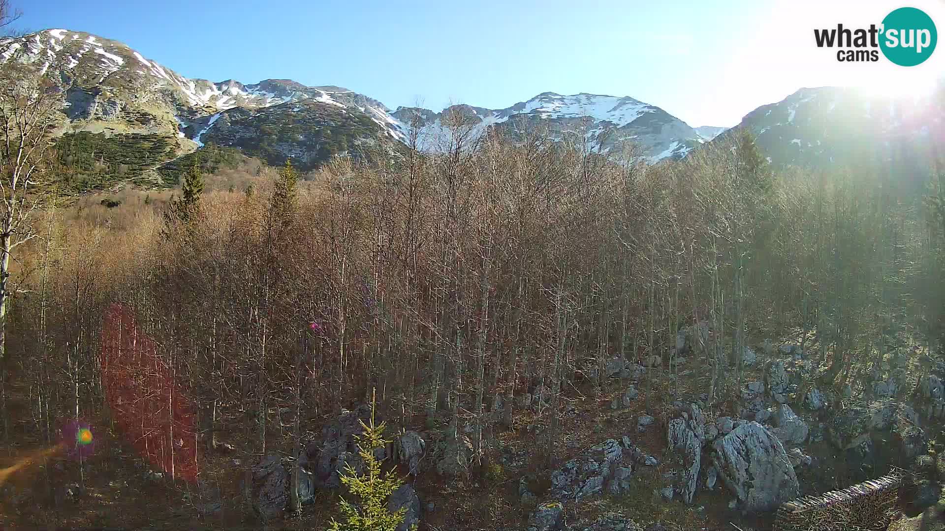 Cámara web PLANINA RAZOR (1315) | vista a Vogel y Globoko