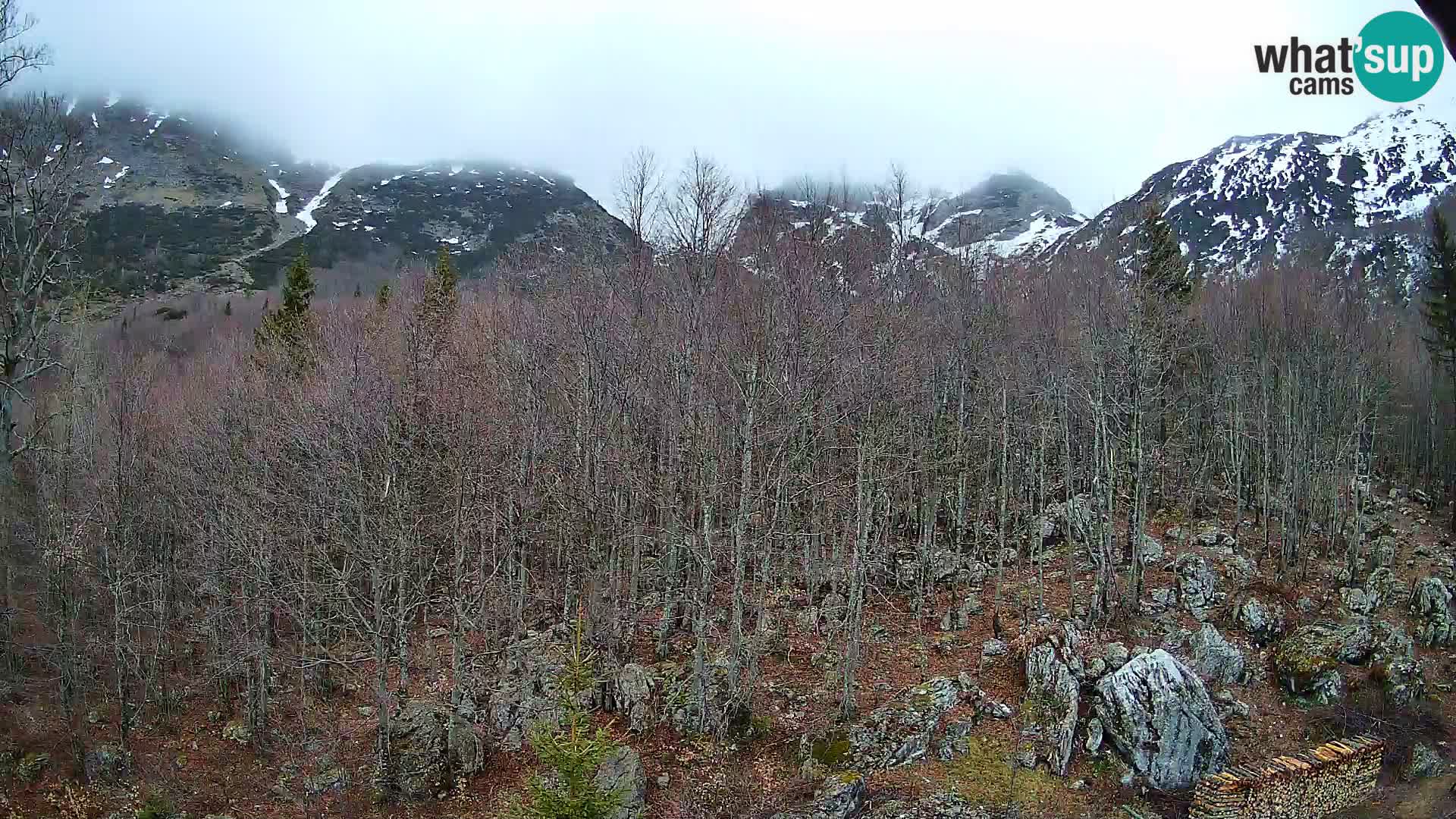 Livecam PLANINA RAZOR (1315) | vue sur Vogel et Globoko