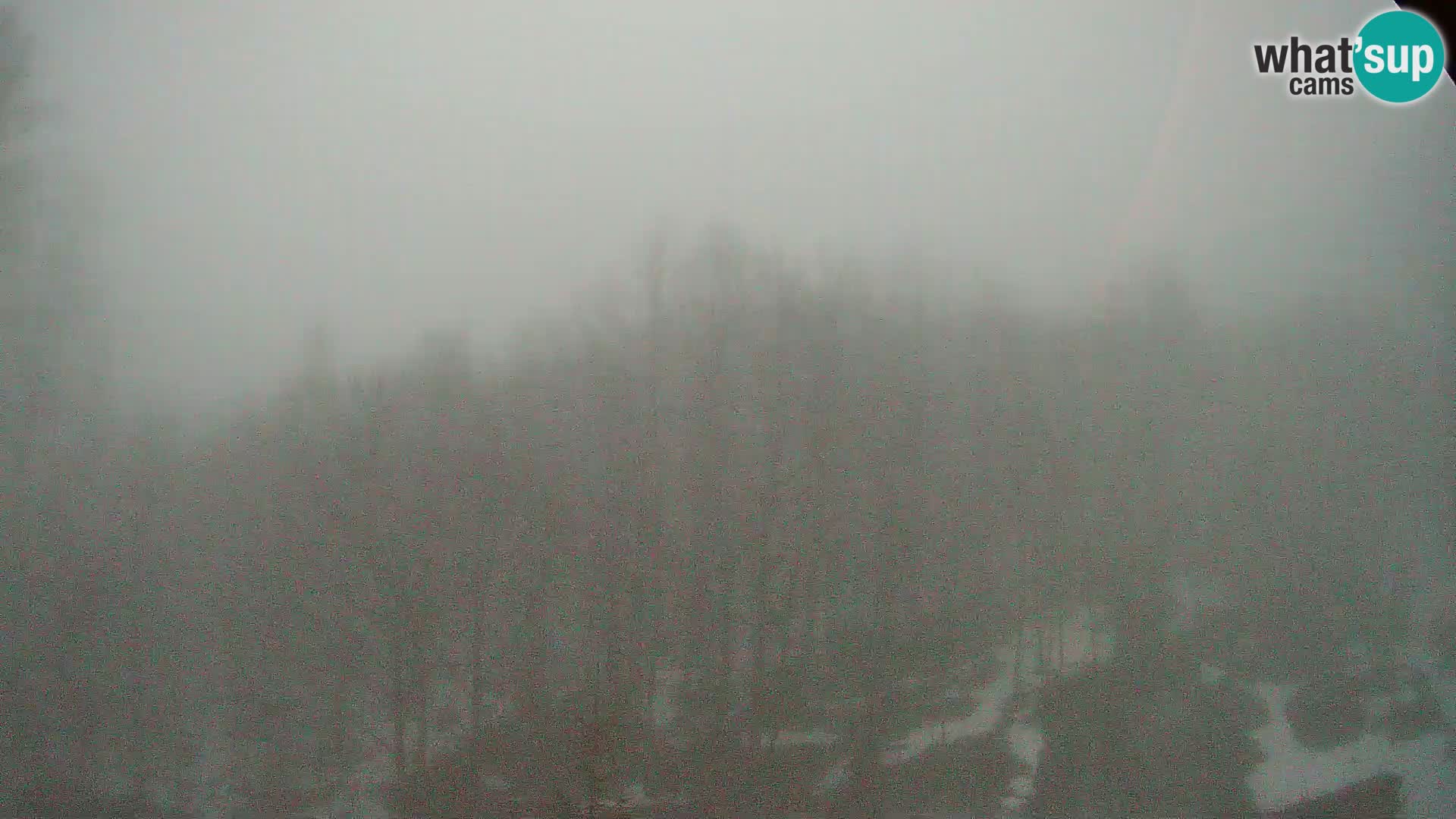 PLANINA RAZOR webcam (1315) | view to Vogel and Globoko