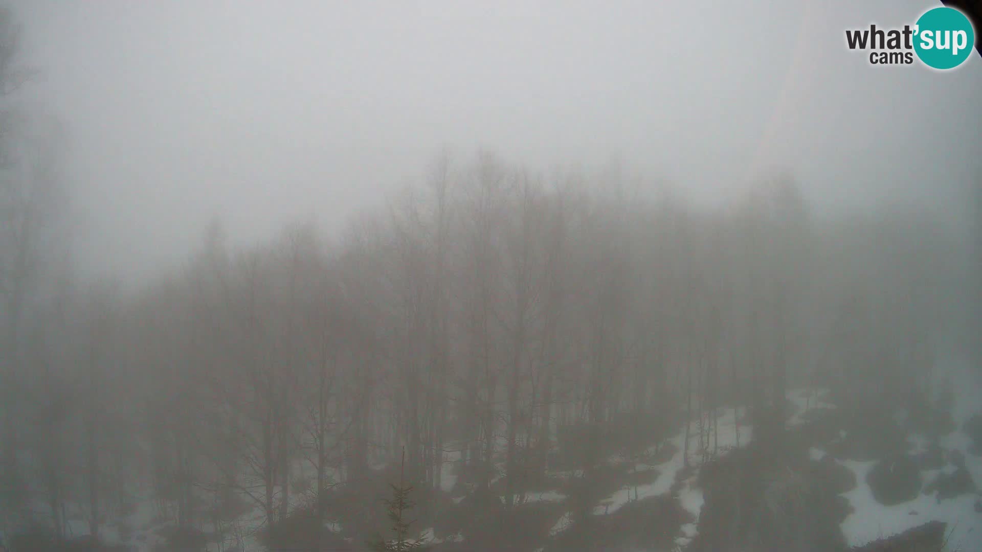 Livecam PLANINA RAZOR (1315) | vue sur Vogel et Globoko