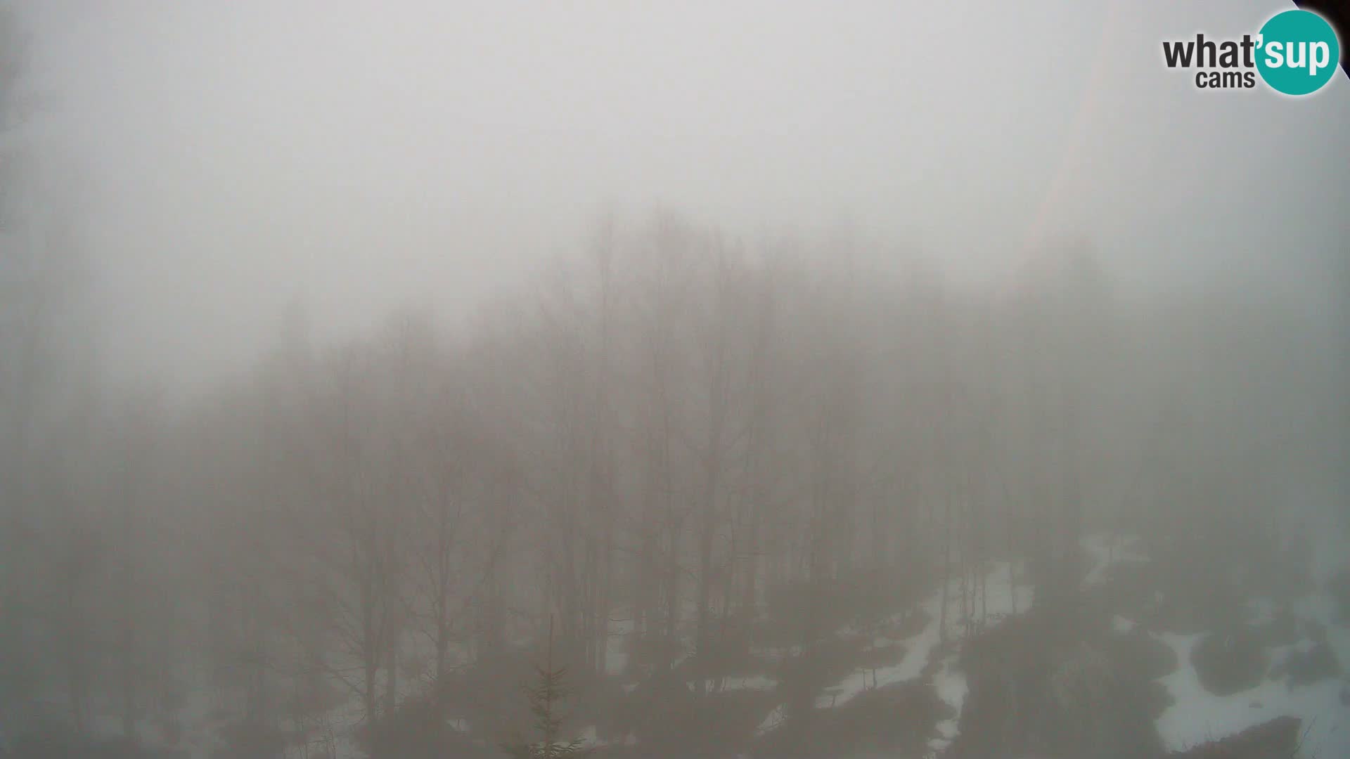 Webcam PLANINA RAZOR (1315) | Blick auf Vogel und Globoko