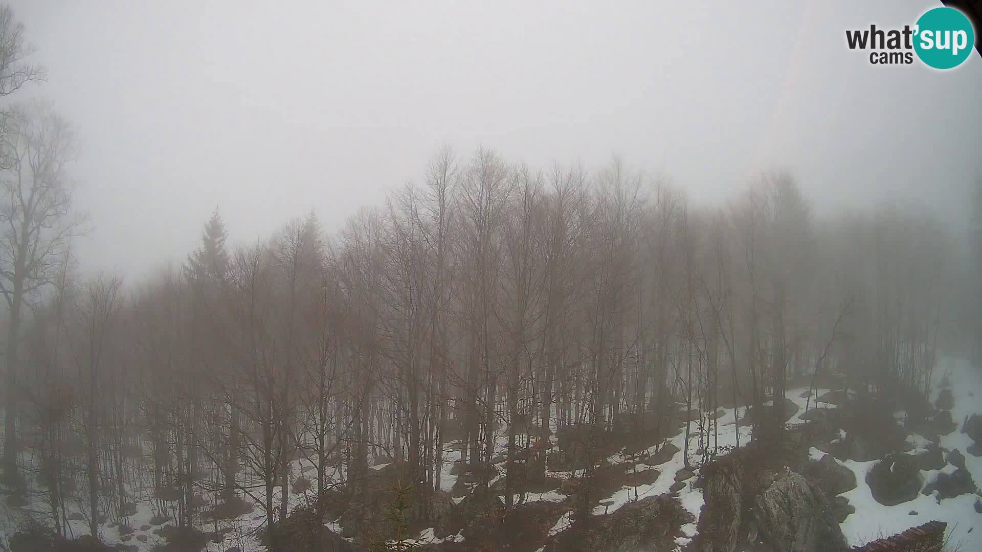 Webcam PLANINA RAZOR (1315) | Blick auf Vogel und Globoko