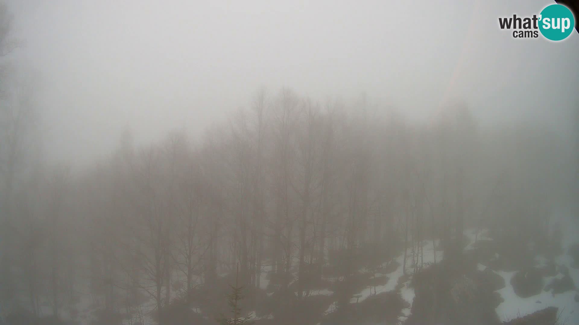 PLANINA RAZOR kamera (1315) | pogled na Vogel in Globoko