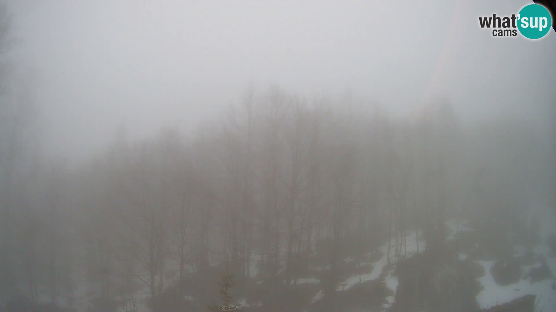 PLANINA RAZOR Live Cam (1315) | vista su Vogel e Globoko